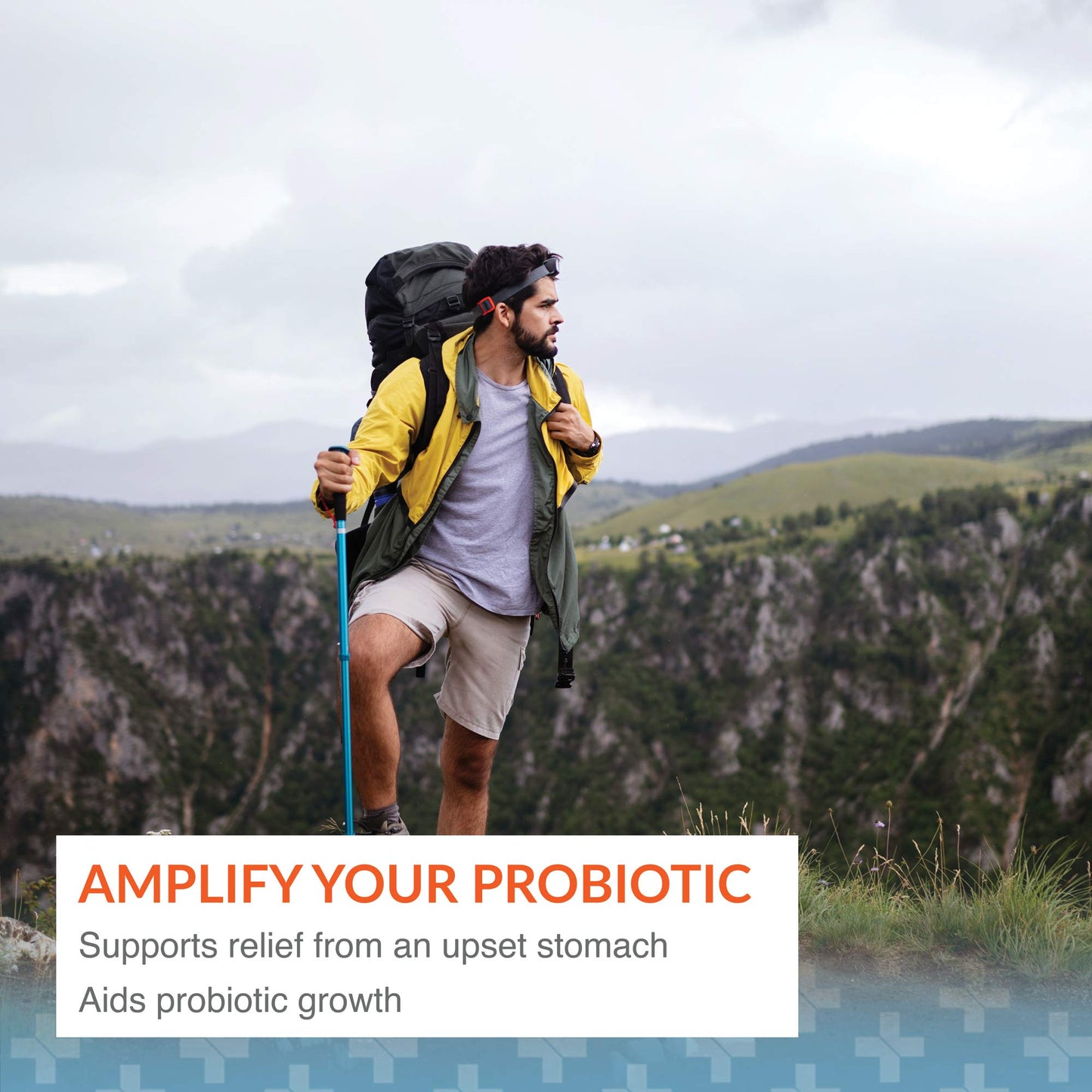 Arthur Andrew Medical Floraphage Prebiotic Formula and Probiotic Multiplier, 90 Capsules