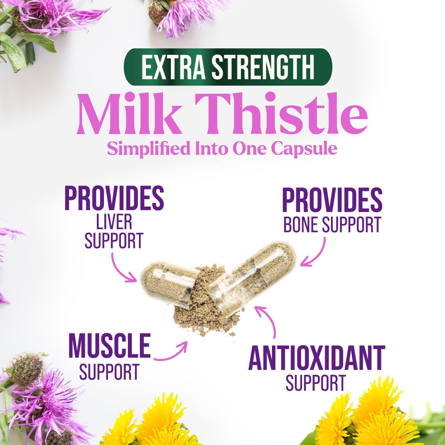 Nature's Nutrition Milk Thistle Extract with Silymarin Marianum & Dandelion Capsules, 120 Count