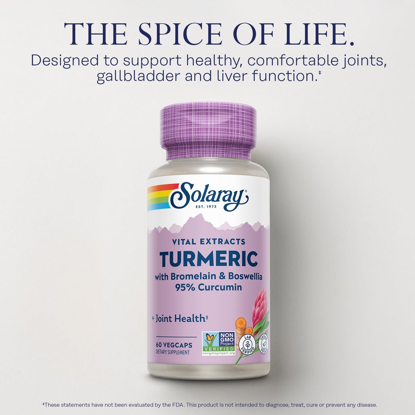 SOLARAY Turmeric Supplement with Bromelain and Boswellia 95% Curcumin Capsules 60 Count