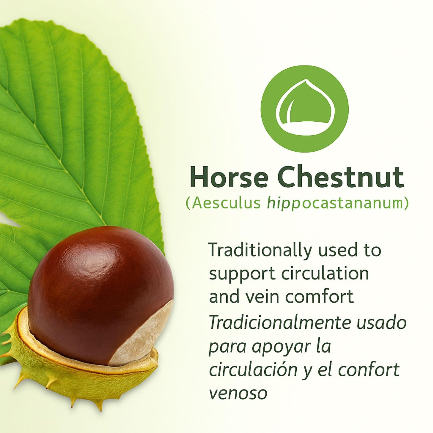 B-Experts Horse Chestnut Capsules, 1 Count