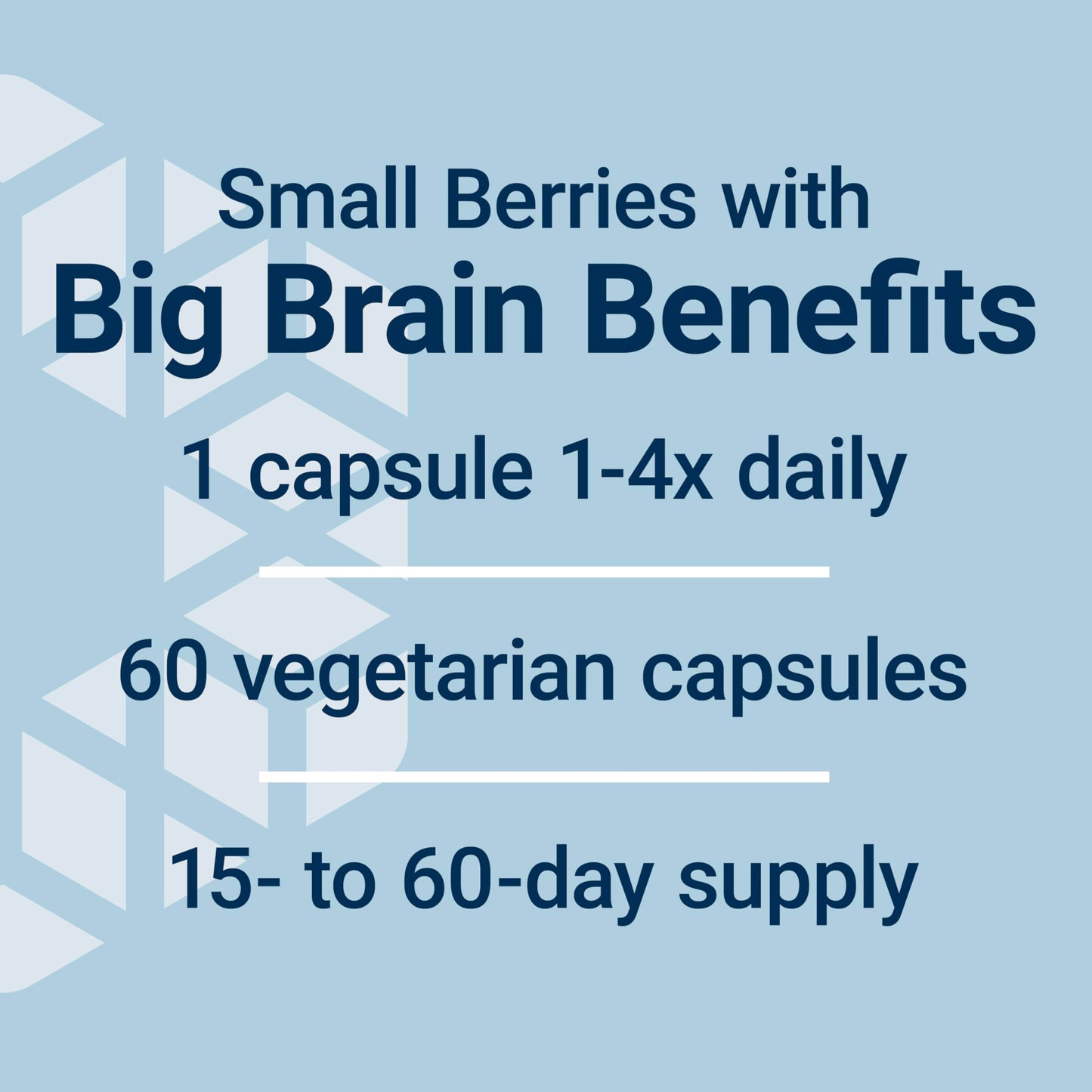 Life Extension Blueberry Extract Capsules, 60 Capsules
