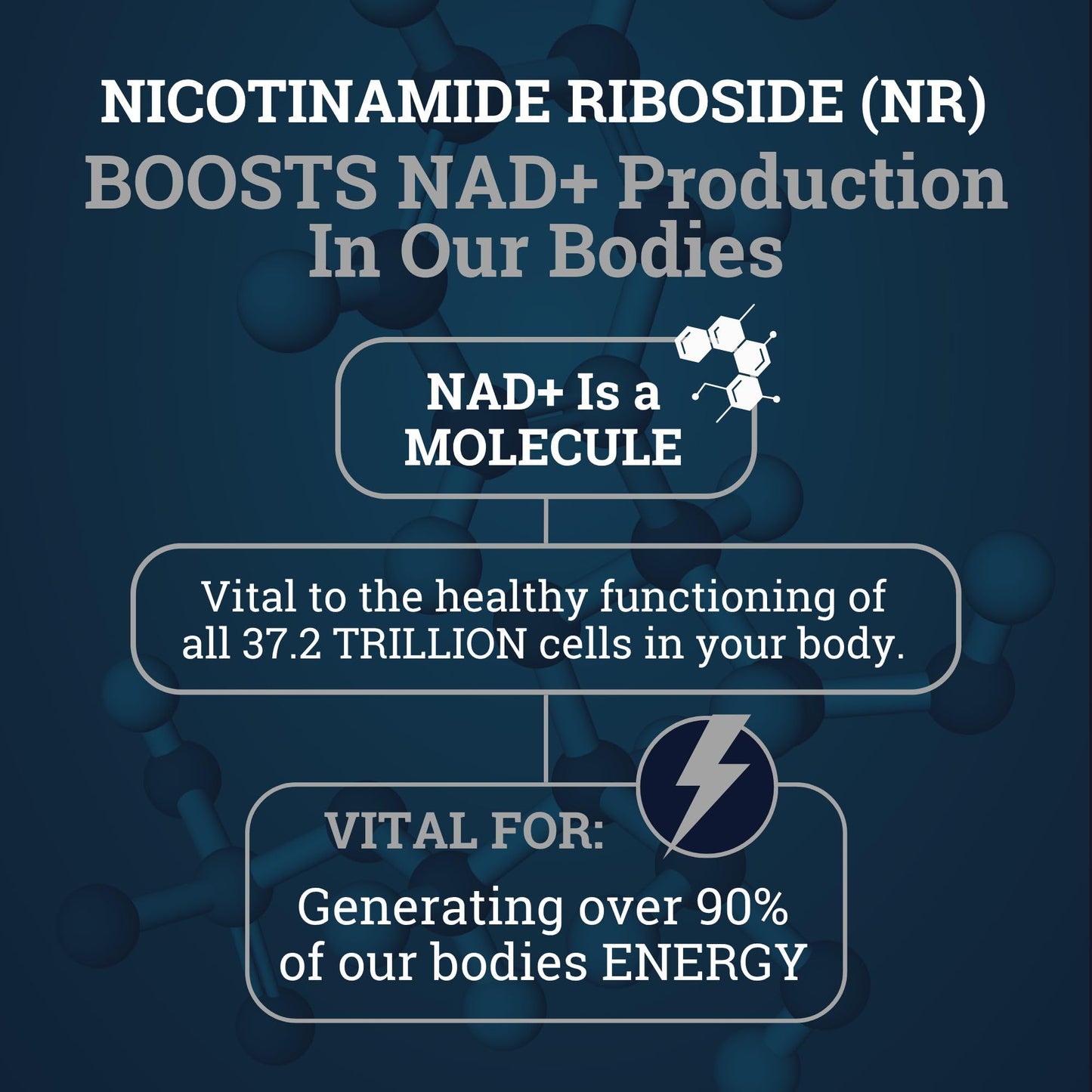 Black Forest NAD Nicotinamide Riboside 900 mg Capsule, 60 Count