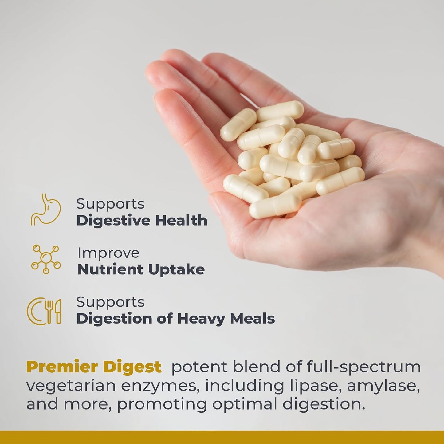 Premier Research Labs Active Digestive Enzymes with Probiotic and Prebiotics - Amylase, Protease & Lipase, 60 Capsules