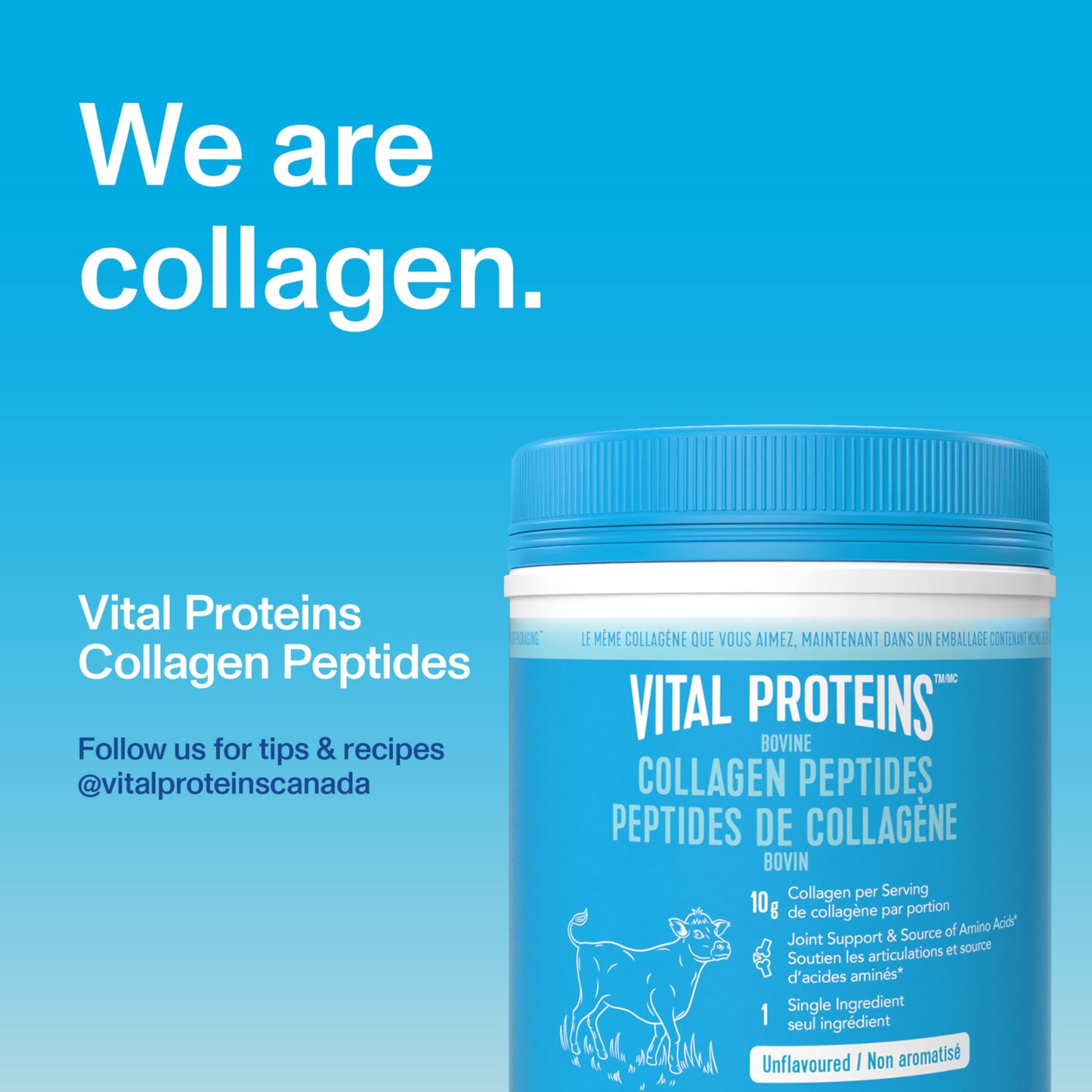 Vital Proteins Unflavoured Collagen Peptides Powder, 1 Ounce