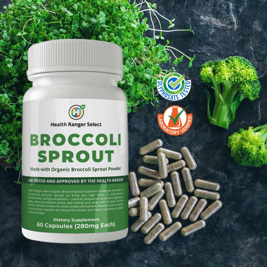 GROOVY BEE Broccoli Sprouts Capsules 60 Count