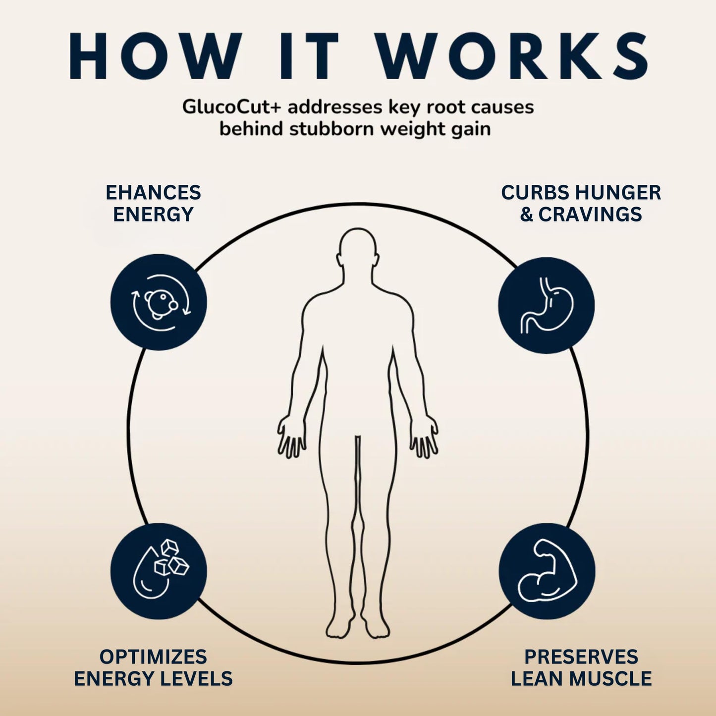Dr. Ashley Wellness GlucoCut+ Capsules 90