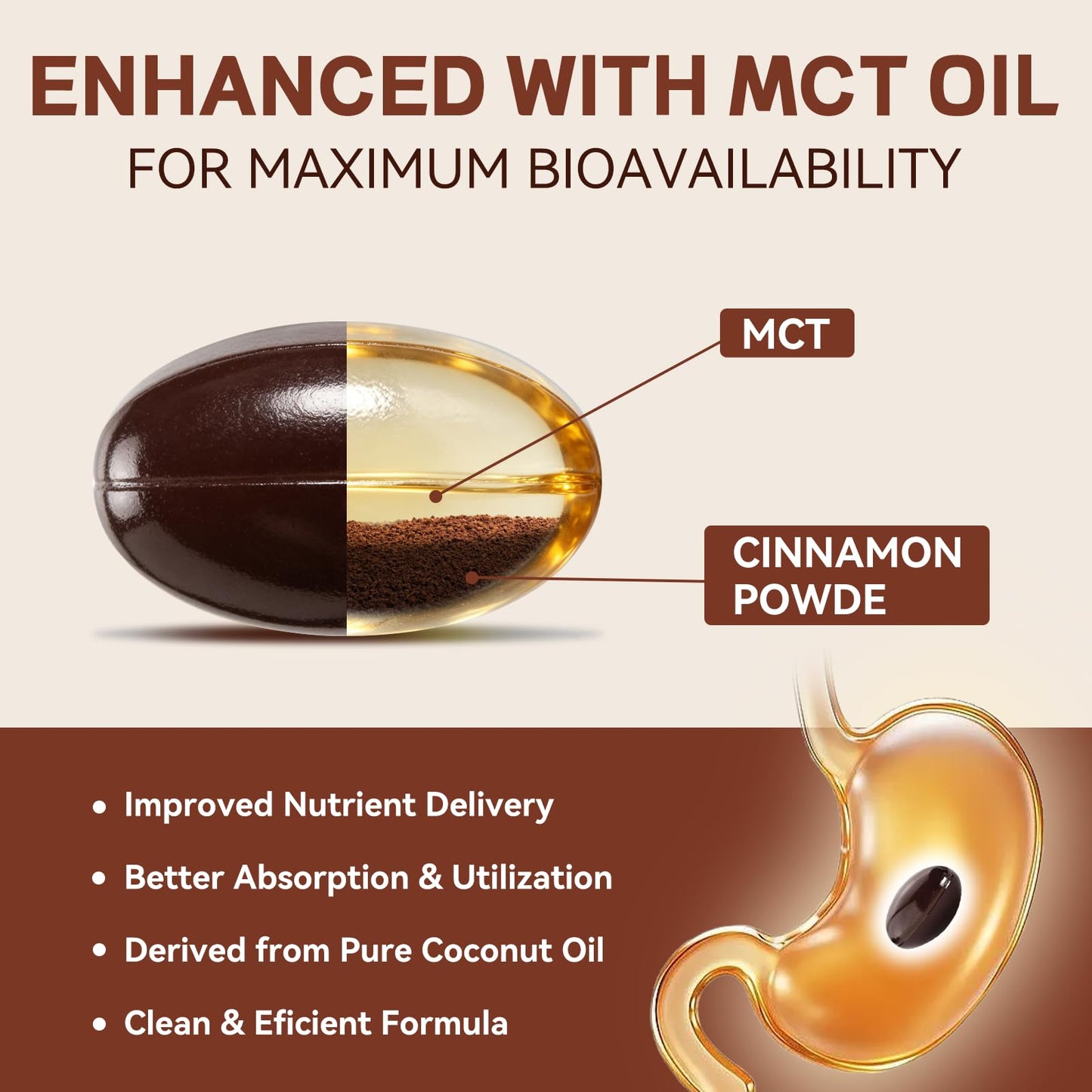 ALLBIZ Ceylon Cinnamon Softgels 360 Count