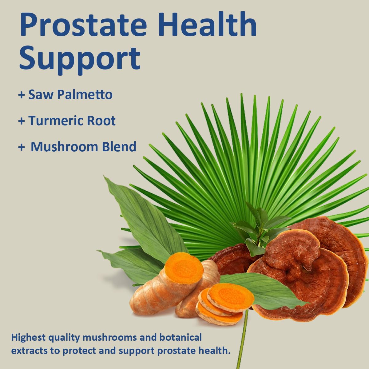 SERSANVE Prostate Health Support Supplement with Mushroom Blend, Saw Palmetto, Capsules, 150 Count