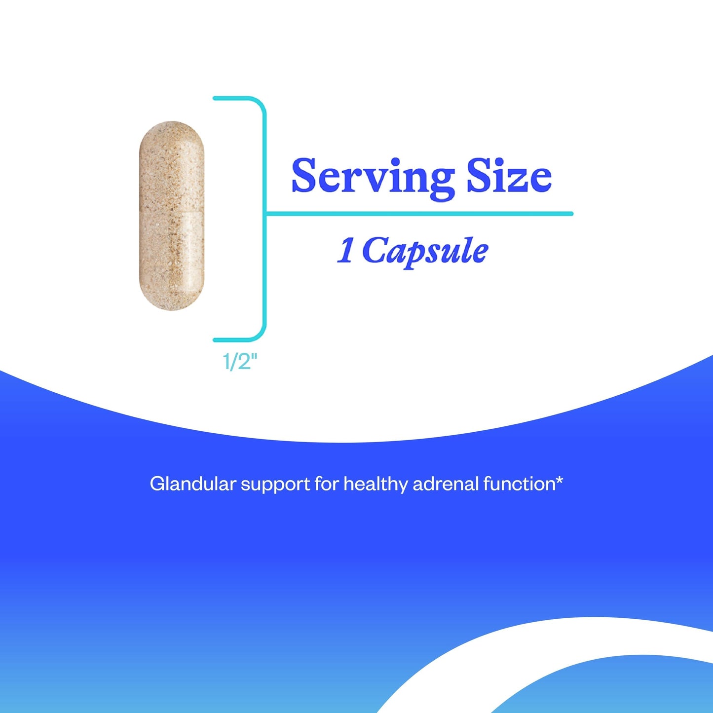 Seeking Health Adrenal Cortex Capsule, 60 Capsules