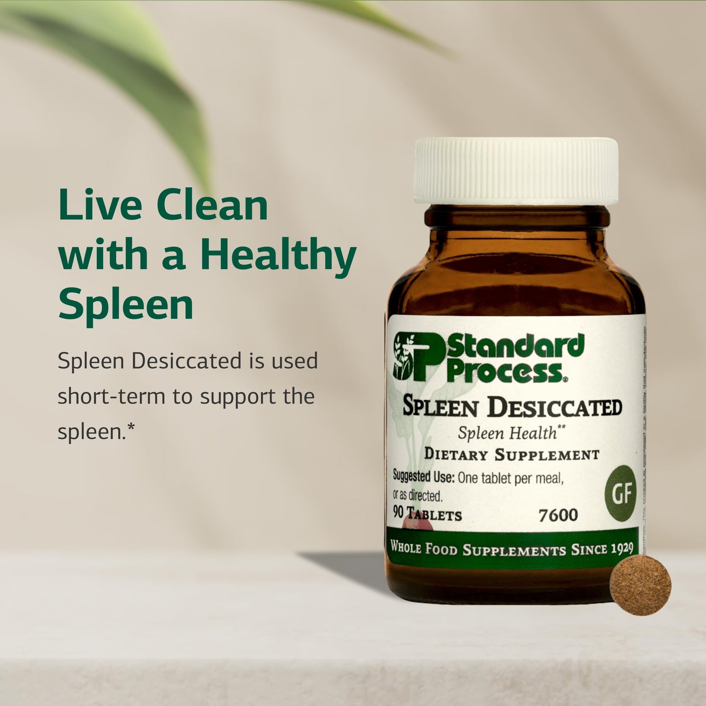 Standard Process Inc. Spleen Desiccated 90 Tablets
