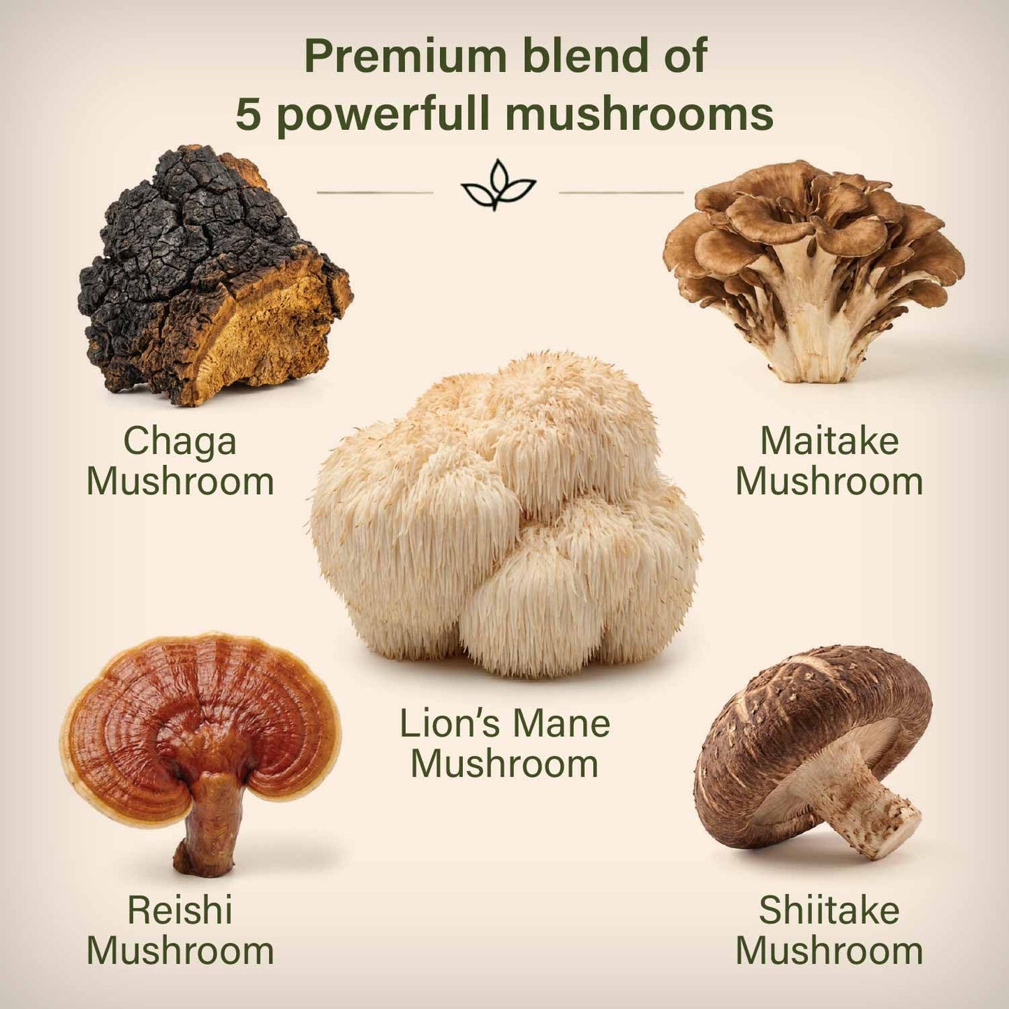 MyLifeZen Lion’s Mane Complex with Mushroom Blend 60 Veggie Capsules