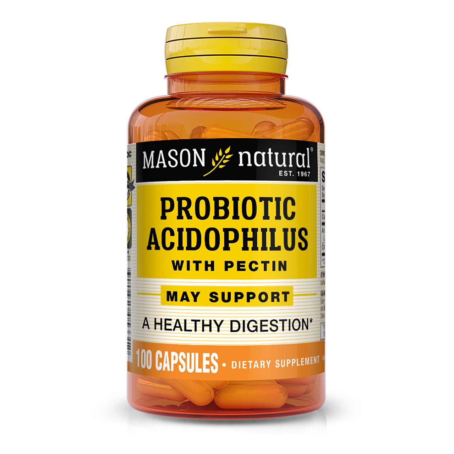 Mason Natural Acidophilus with Pectin Capsules, Digestive Aid, 100 Capsules