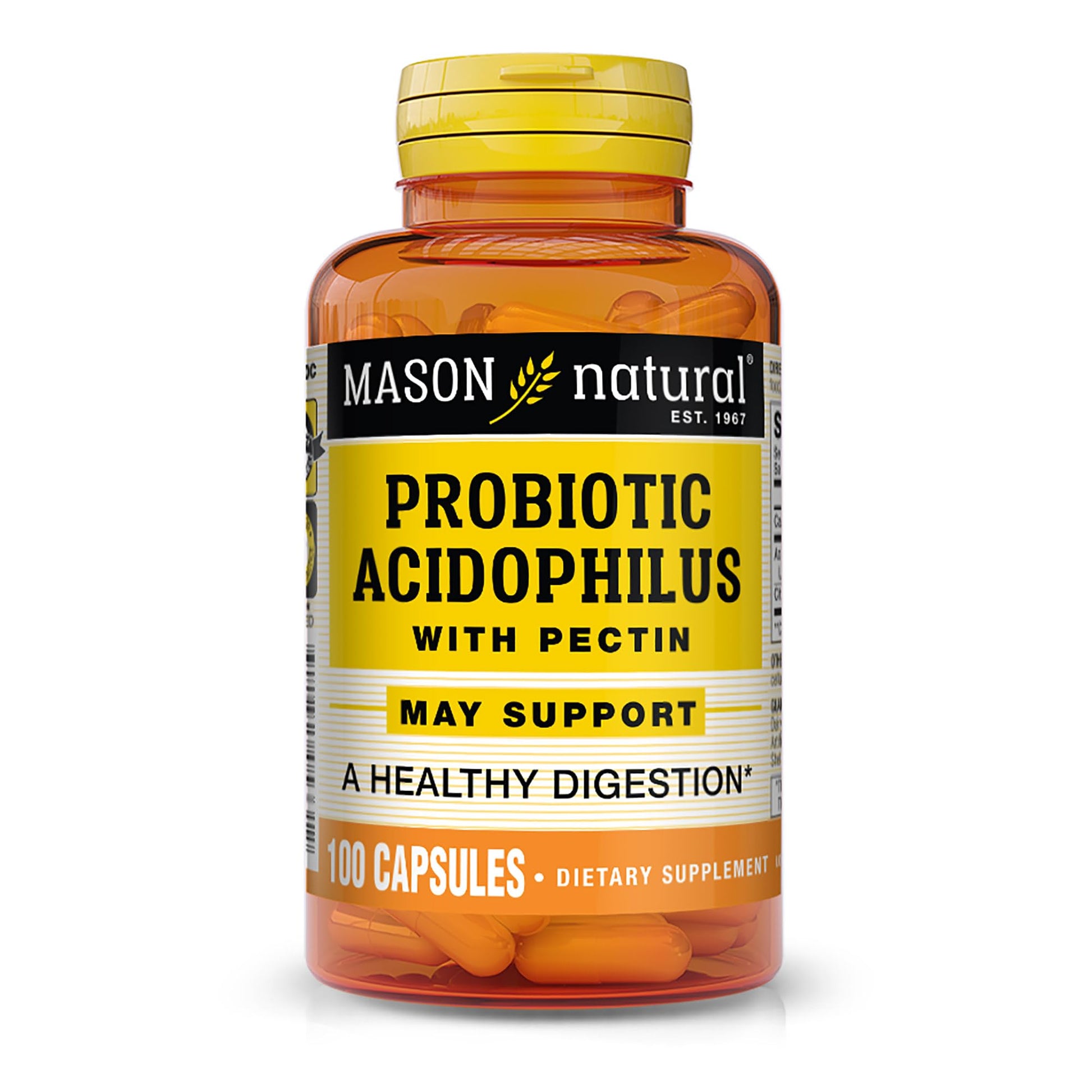 Mason Natural Acidophilus with Pectin Capsules, Digestive Aid, 100 Capsules