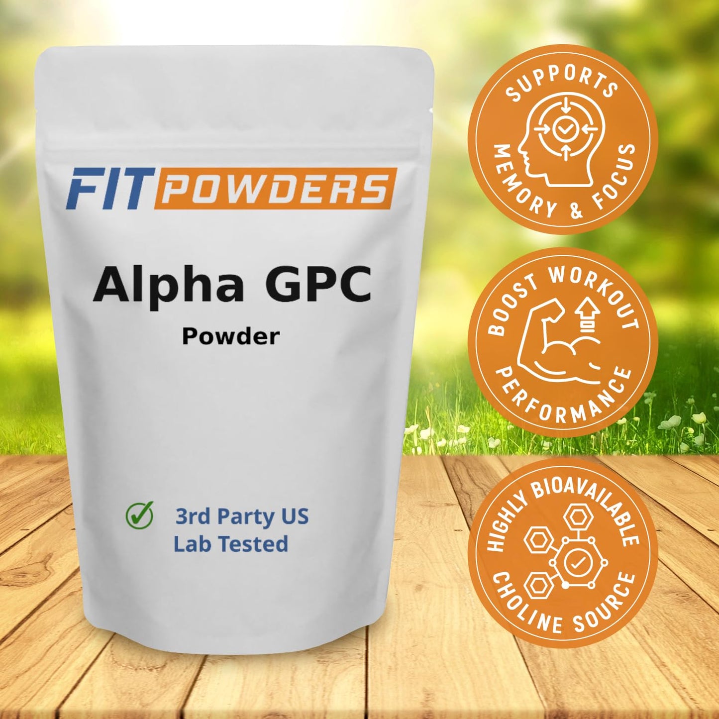 FitPowders Alpha GPC Powder Supplement, 8.8 oz