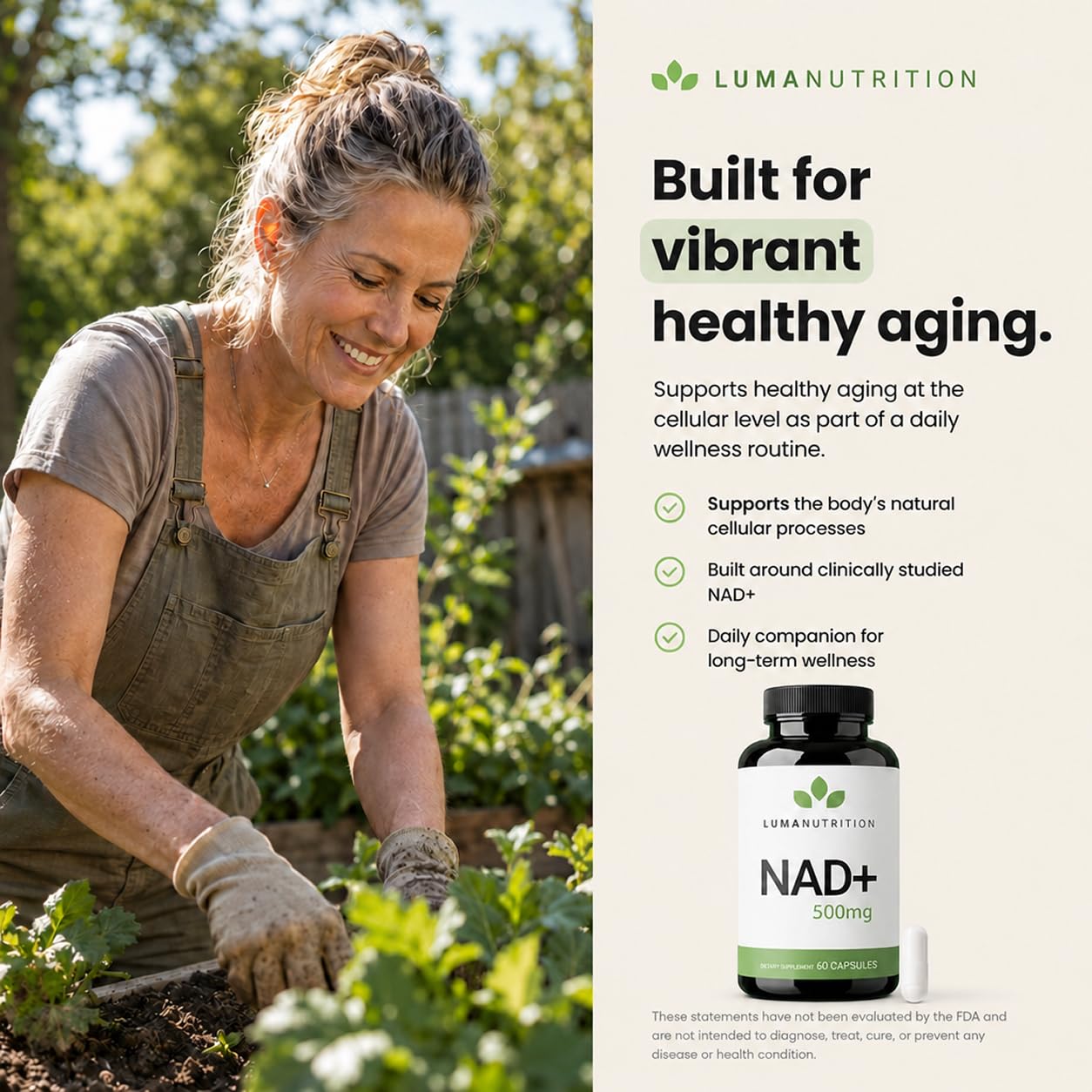 Luma Nutrition NAD+ Supplement 500mg Per Serving (250mg per Capsule) – Aging Plus Energy, Metabolism & Cellular Support – 60 Capsules