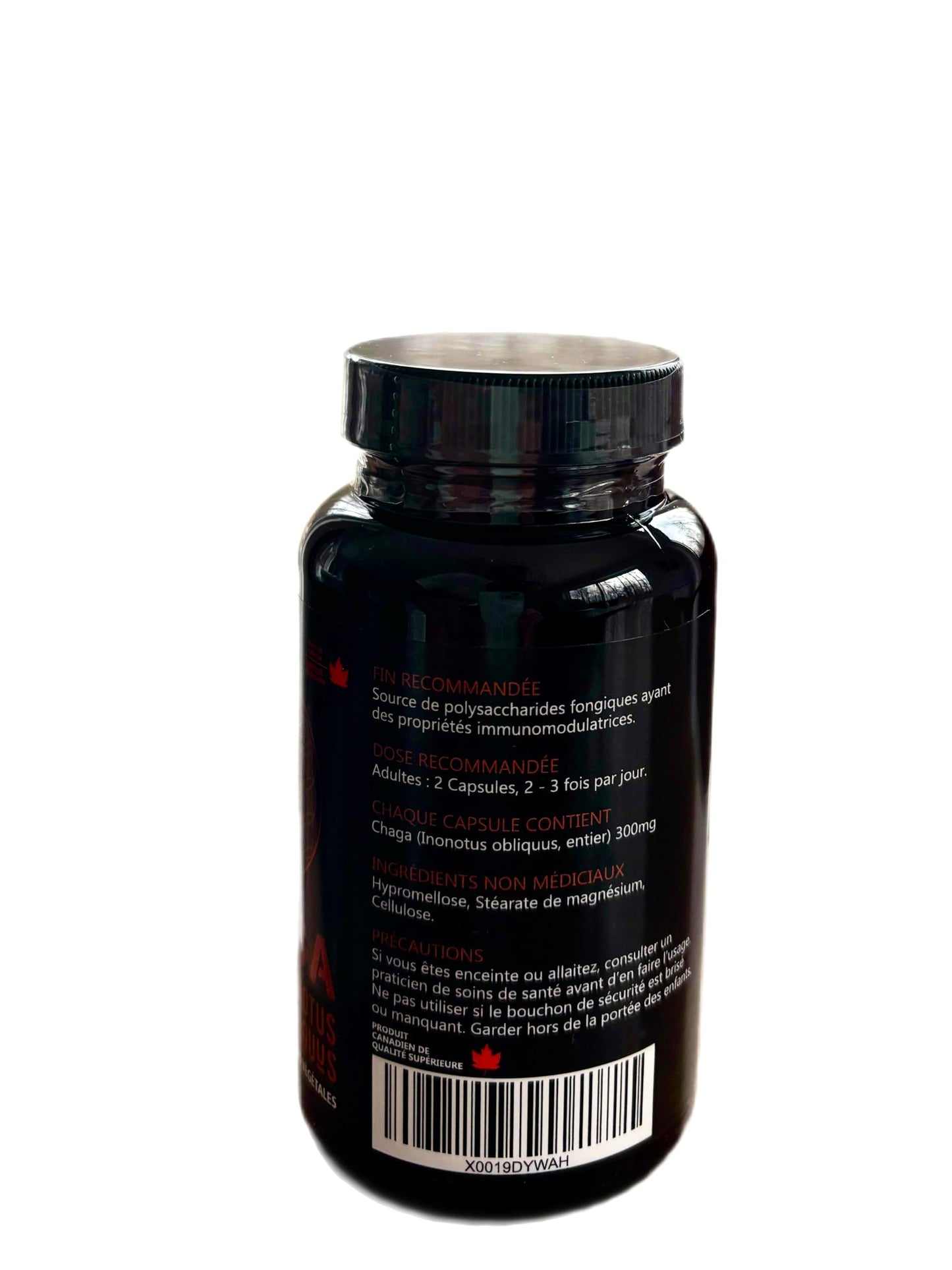 CHI CHAGA Chaga Mushroom Capsules, 120 Capsules