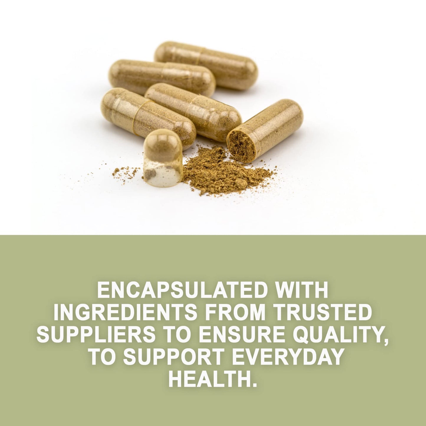 Evergreen Herbs Cinchona Capsules 90 Count