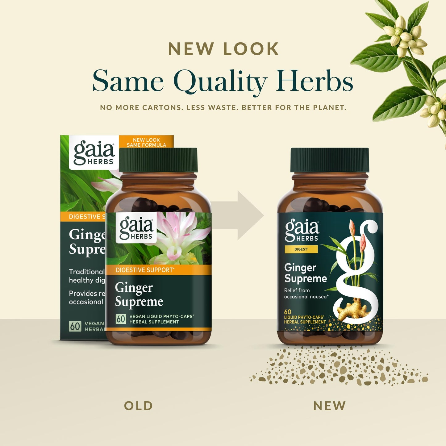 Gaia Herbs Ginger Supreme Capsules 60 Count