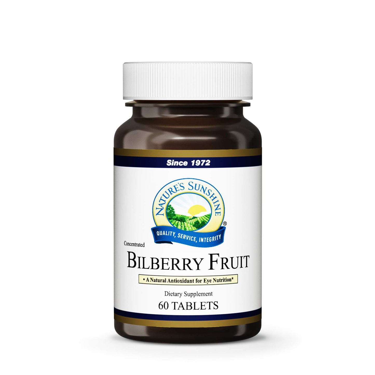Xllent Bilberry Fruit Concentrate Tablet 60 Count