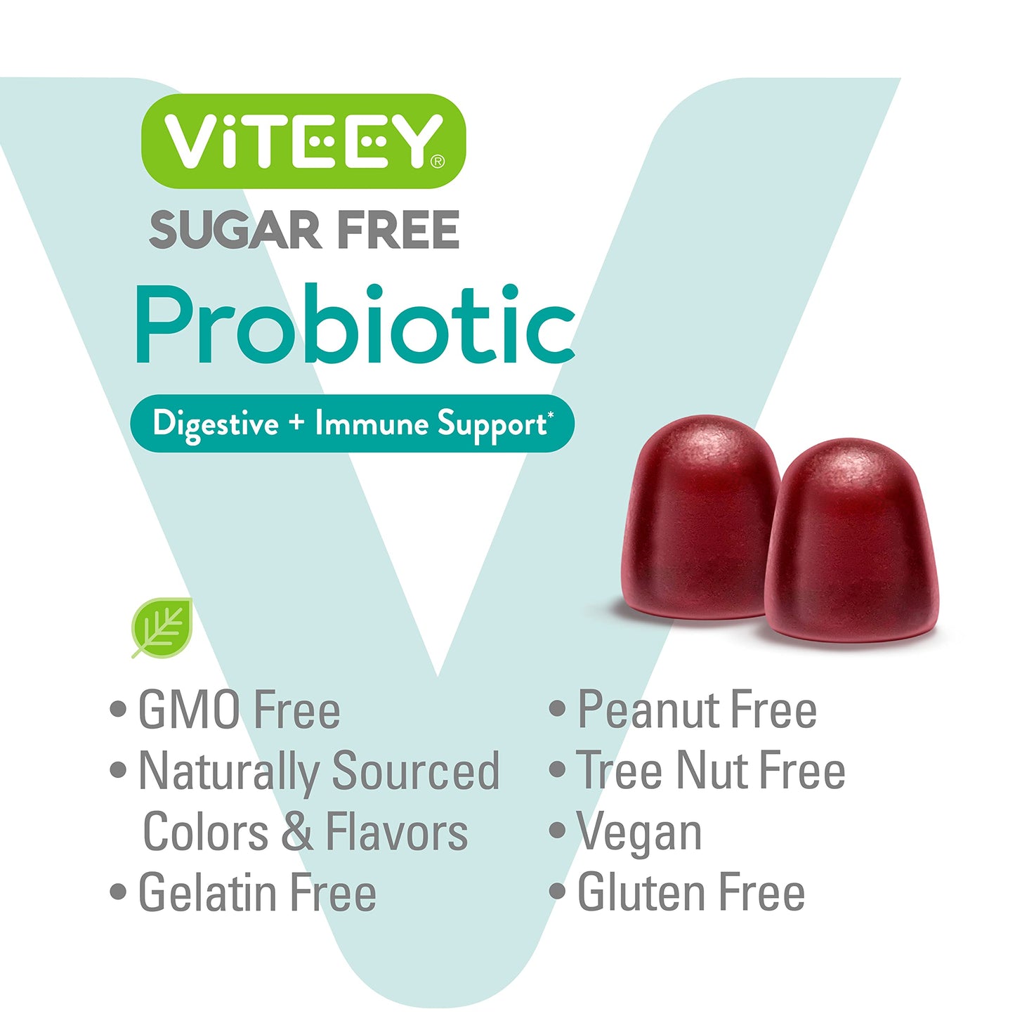 Viteey Probiotic Gummies for Women, Men & Teens 2 Billion CFUs Sugar Free, 120 Gummies