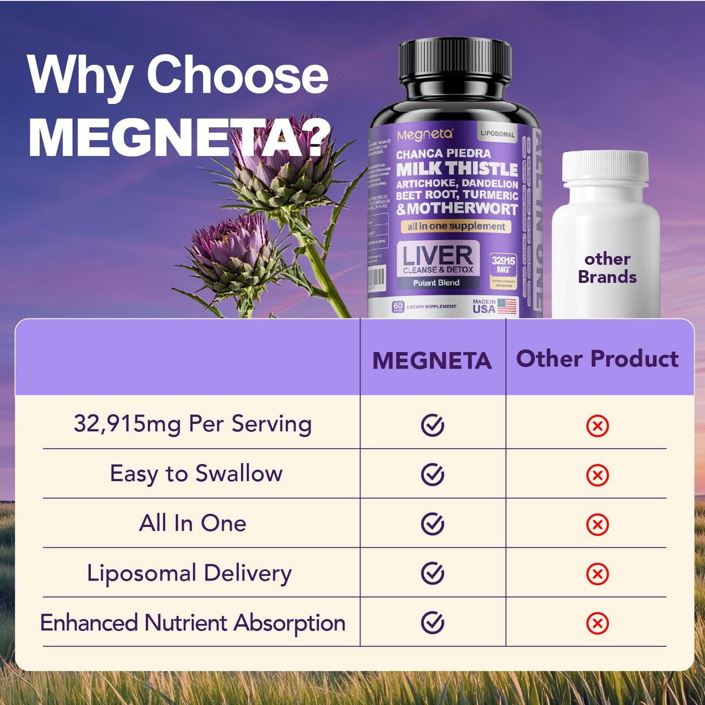 MEGNETA Milk Thistle Capsule, 60 Capsules