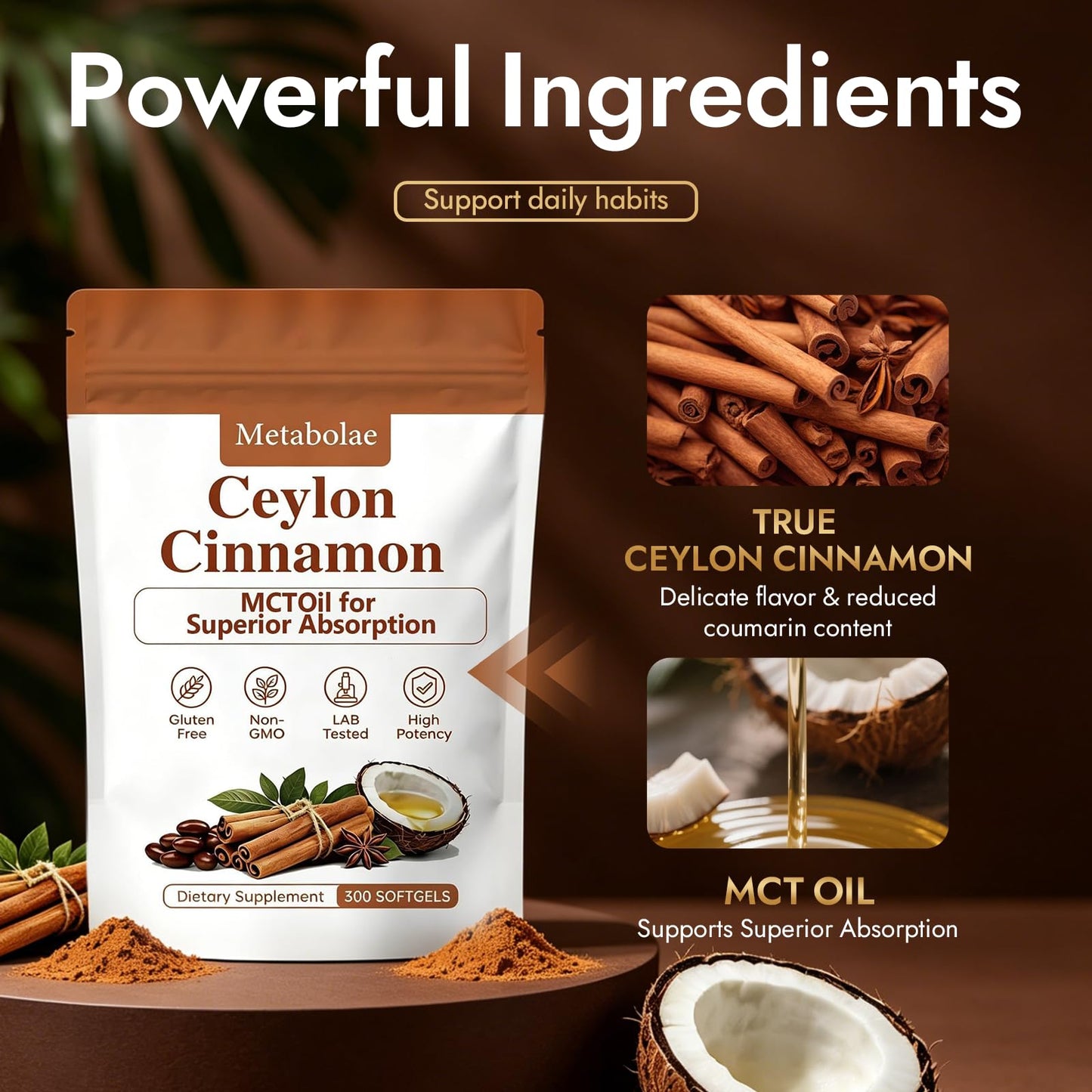 Metabolae Ceylon Cinnamon Softgels with MCT Oil, 1 Count, Non-GMO, Gluten Free