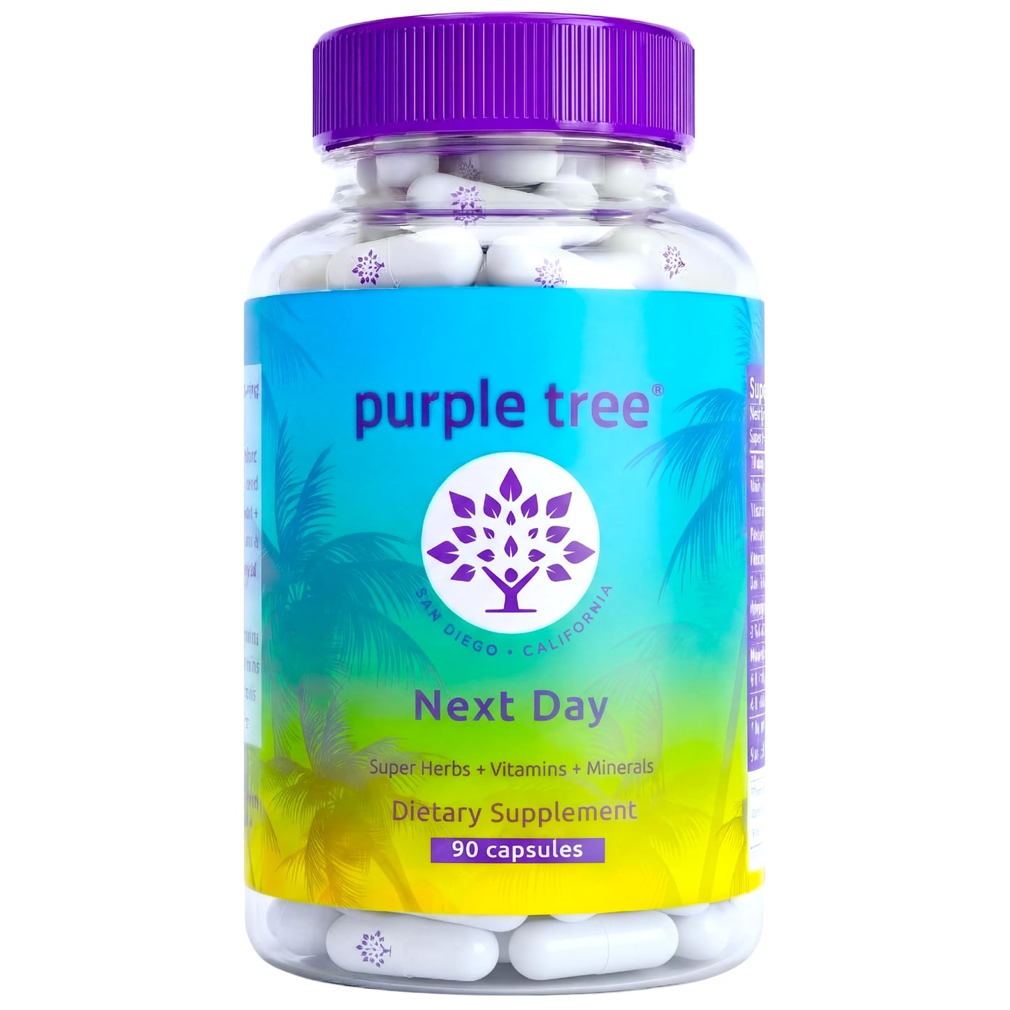 Purple Tree Next Day – Post-Drink Morning Wellness Supplement for Balance, Restore & Replenishment, 90 Capsules