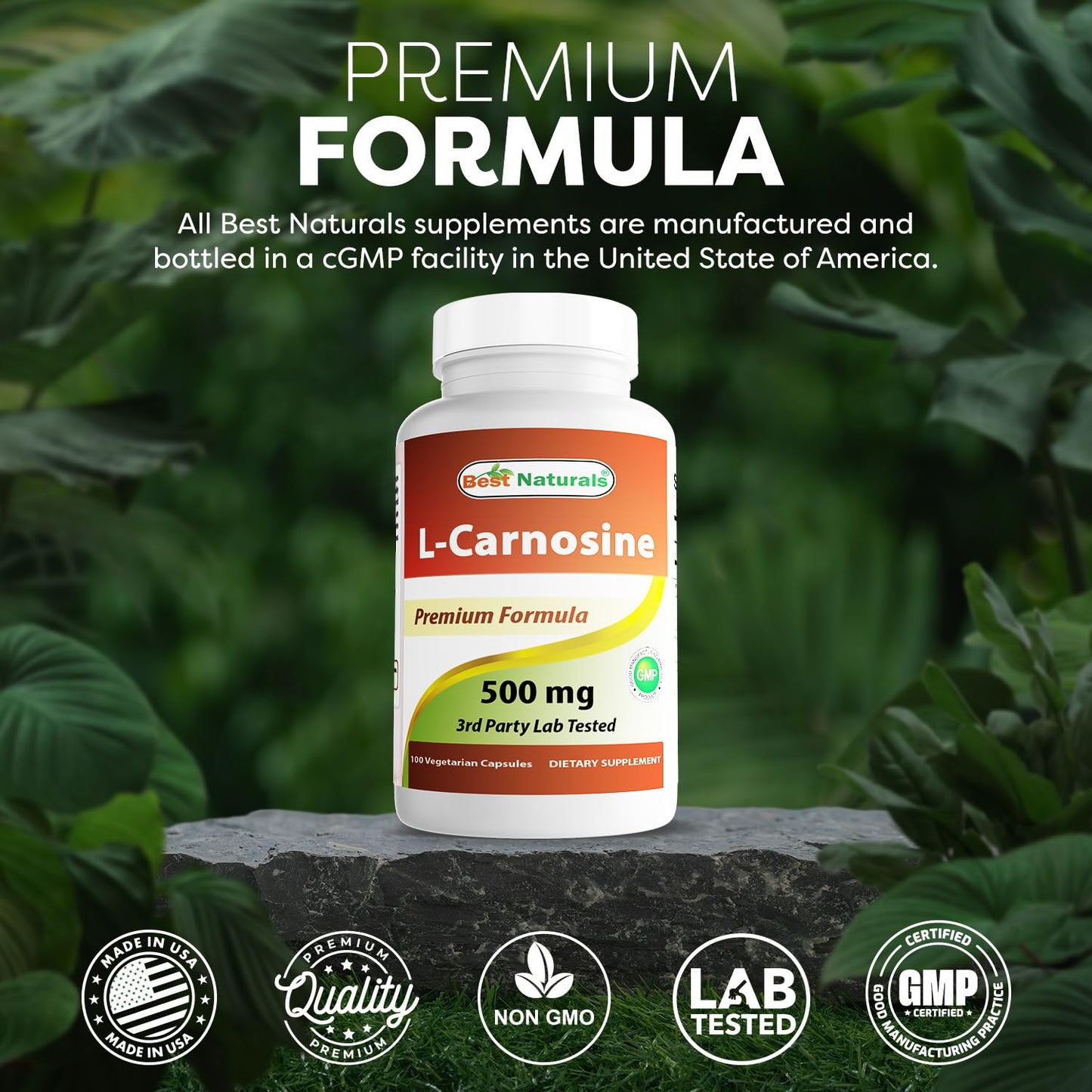 Best Naturals L-Carnosine 500 mg Tablet, 200 Tablets