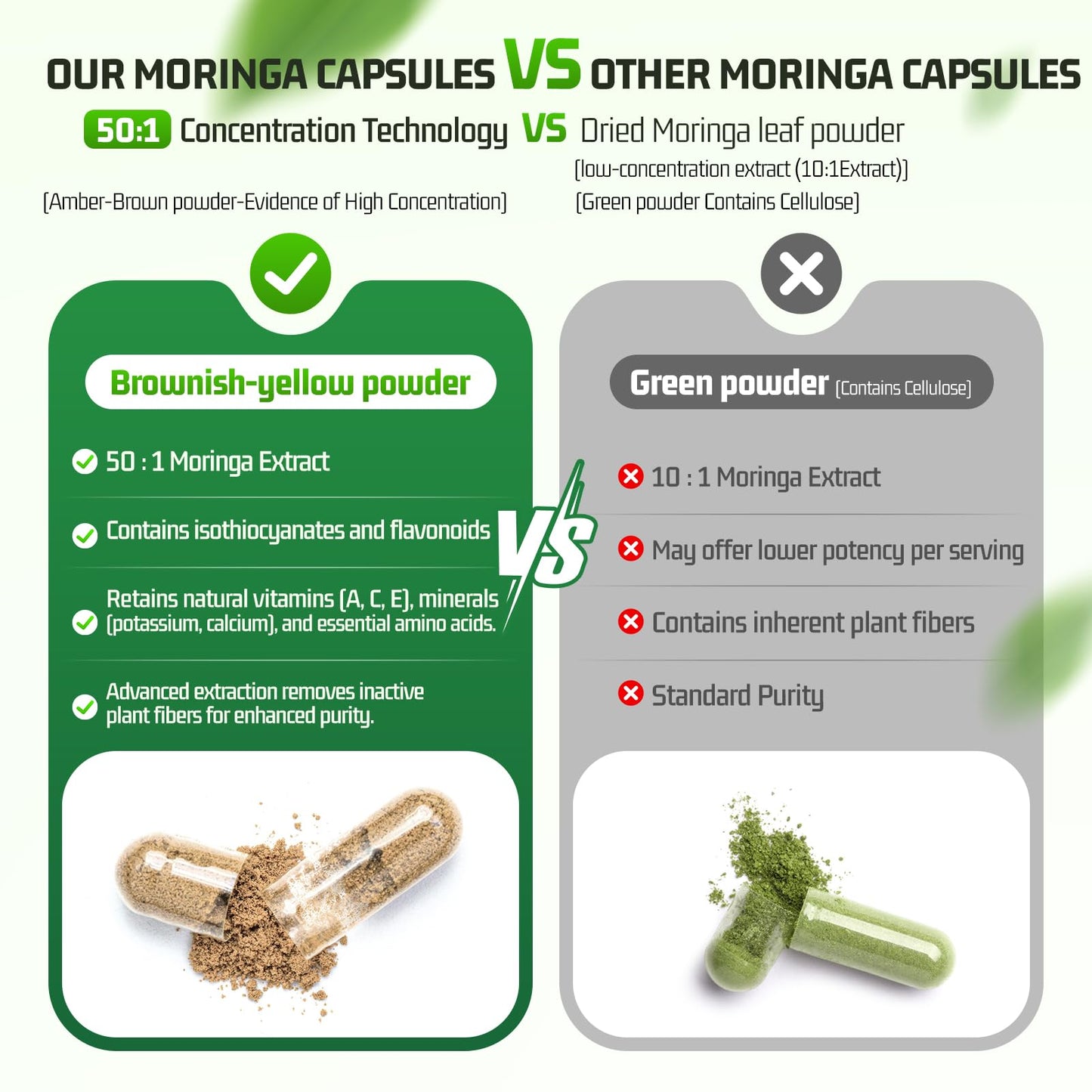 Nature Echo Moringa Oleifera Capsules 50:1 High Potency Extract, 60 Count