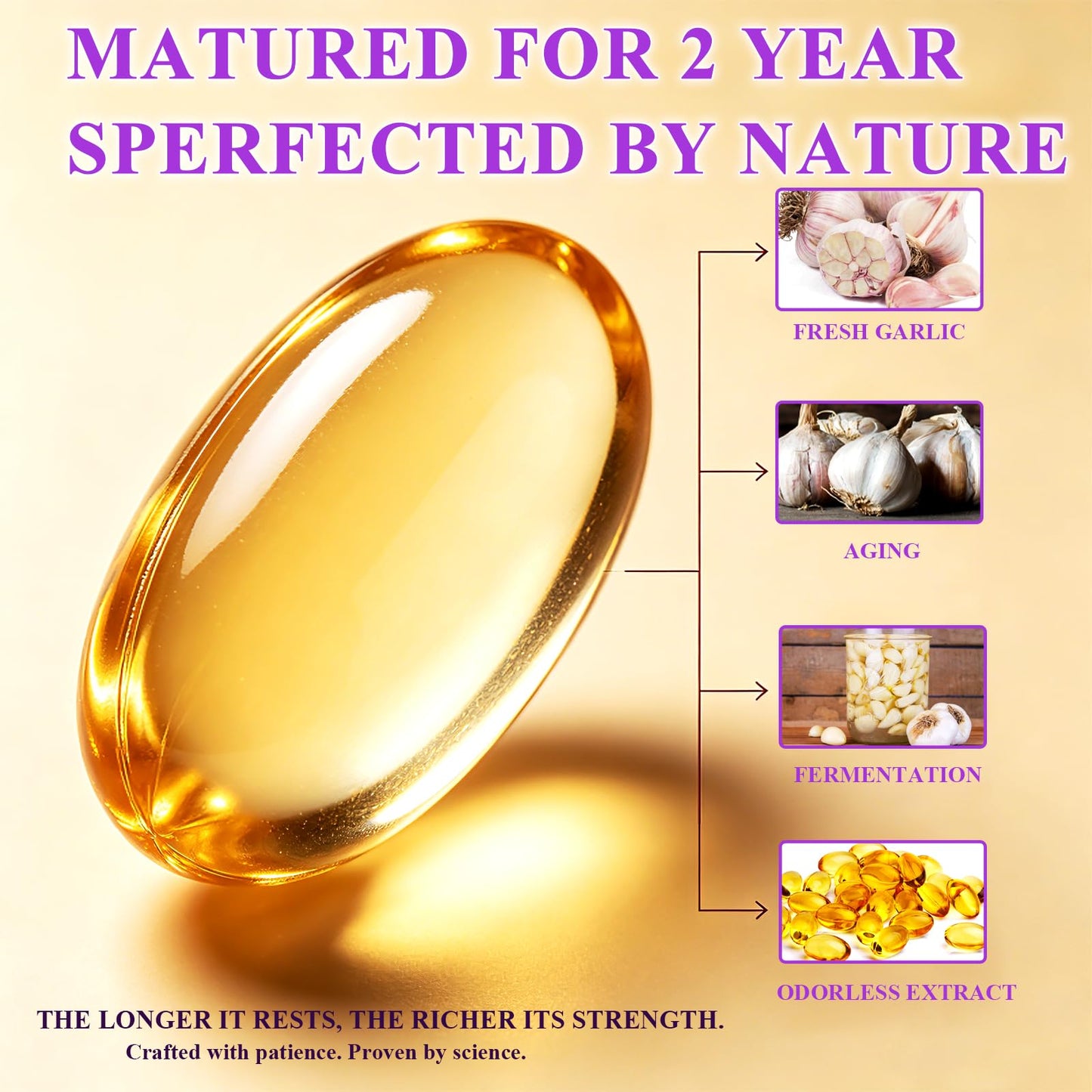 GLOVVUUP Aged Garlic Extract 800mg Softgels, 120 Count