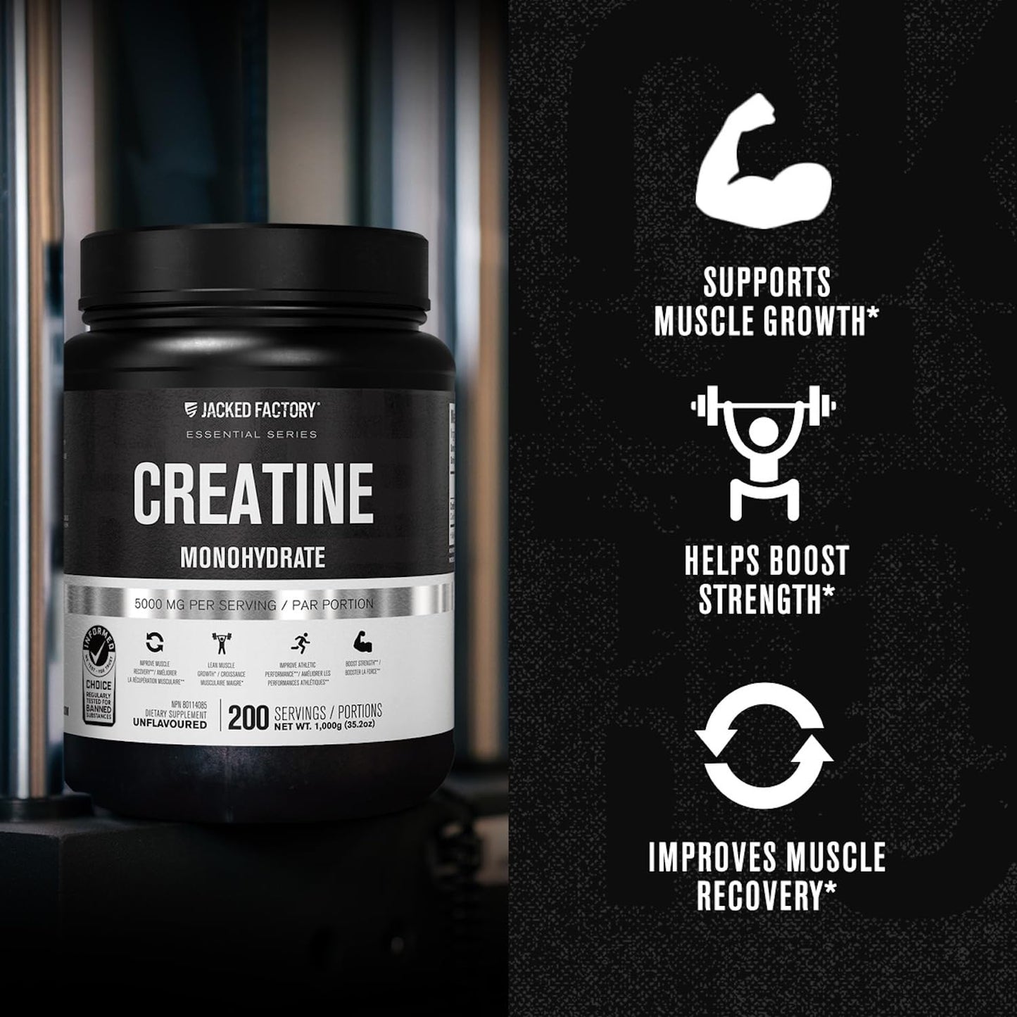 Jacked Factory Creatine Monohydrate Powder 200 Servings