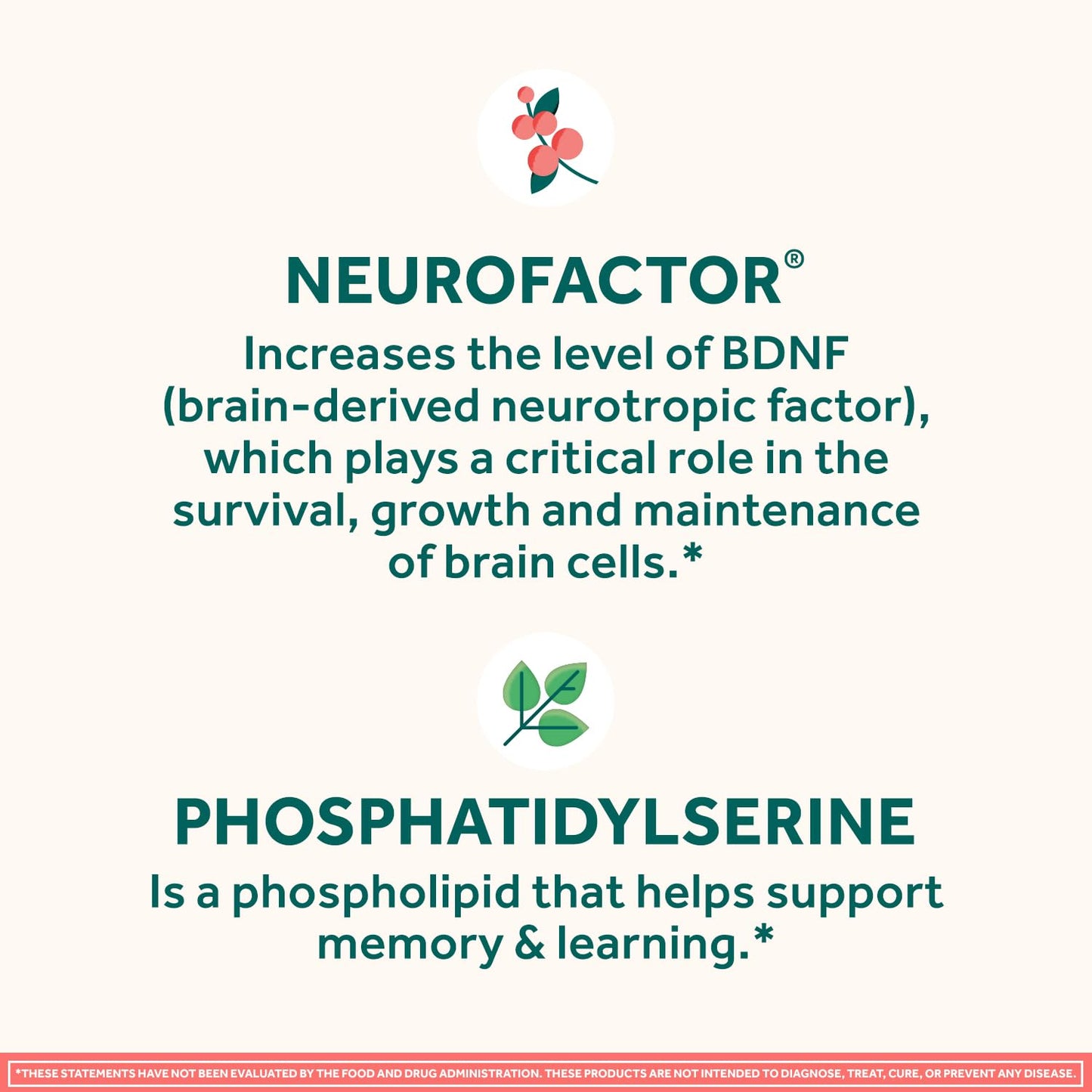 NEURIVA Original Brain Supplement for Memory, Focus & Concentration with Clinically Tested Nootropics Phosphatidylserine and Neurofactor, Gummies, 100 Gummies