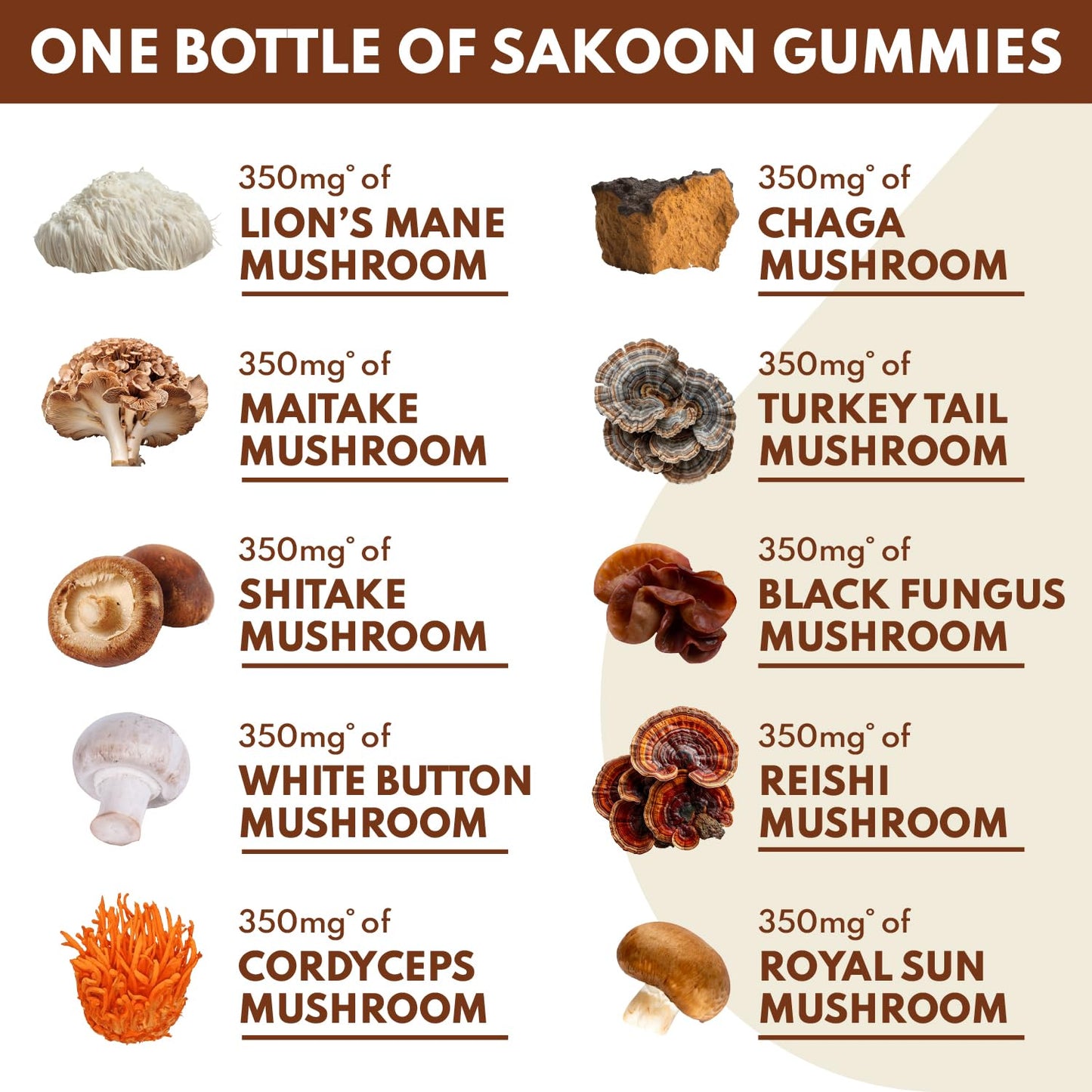 Sakoon nutrition Lions Mane Mushroom Gummies 1 Count