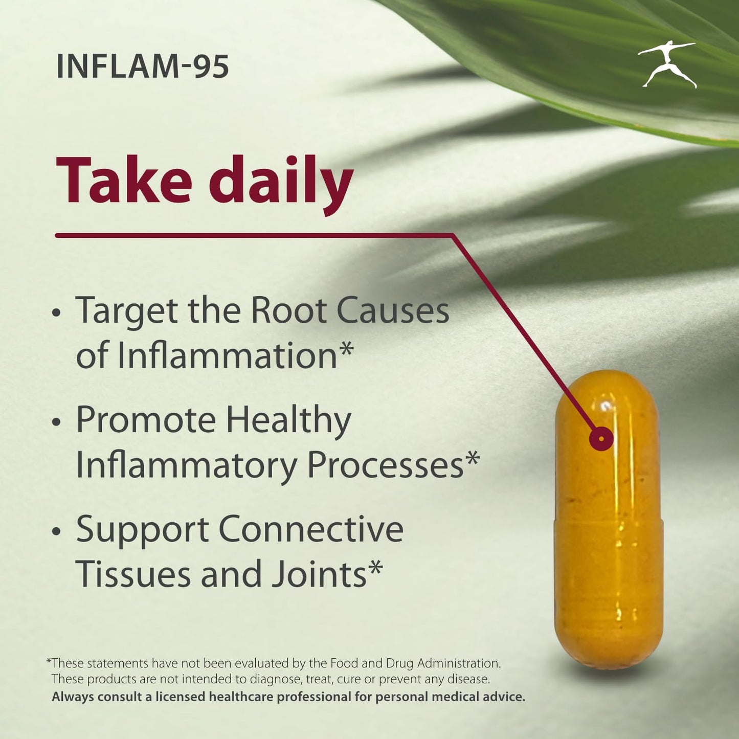 BIOSPEC NUTRITIONALS Inflam-95 - Ginger Root Extract 2,000 mg, Curcumin Root Extract, Boswellia Serrata Extract, Nettle Leaf Extract, Bioperine Capsule, 180 Count