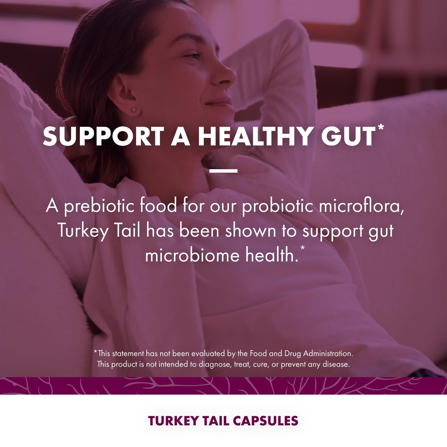Host Defense Turkey Tail Capsules, 240 Capsules