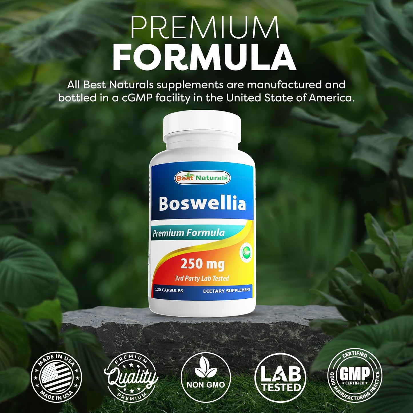 Best Naturals Boswellia Serrata Joint Health 250 mg Capsules, 120 Count