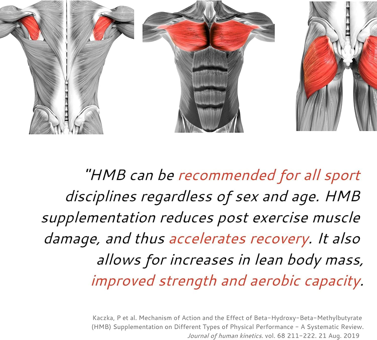 Generic Senta HMB Supplement 1000mg Capsules, 90 Count