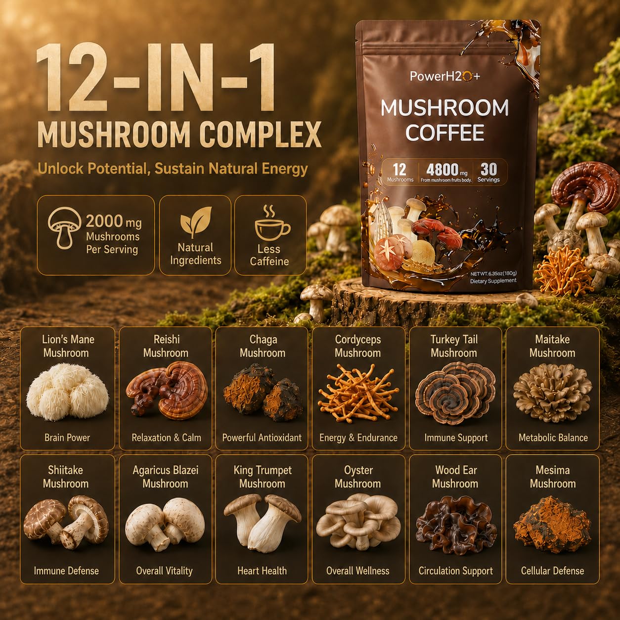PowerH2O+ Mushroom Coffee 12 in 1 with 4800mg Lion's Mane, Reishi, Chaga, Cordyceps, Turkey Tail for Energy, Focus, Positive Mood & Immune Support Powder, 6.35 Ounce