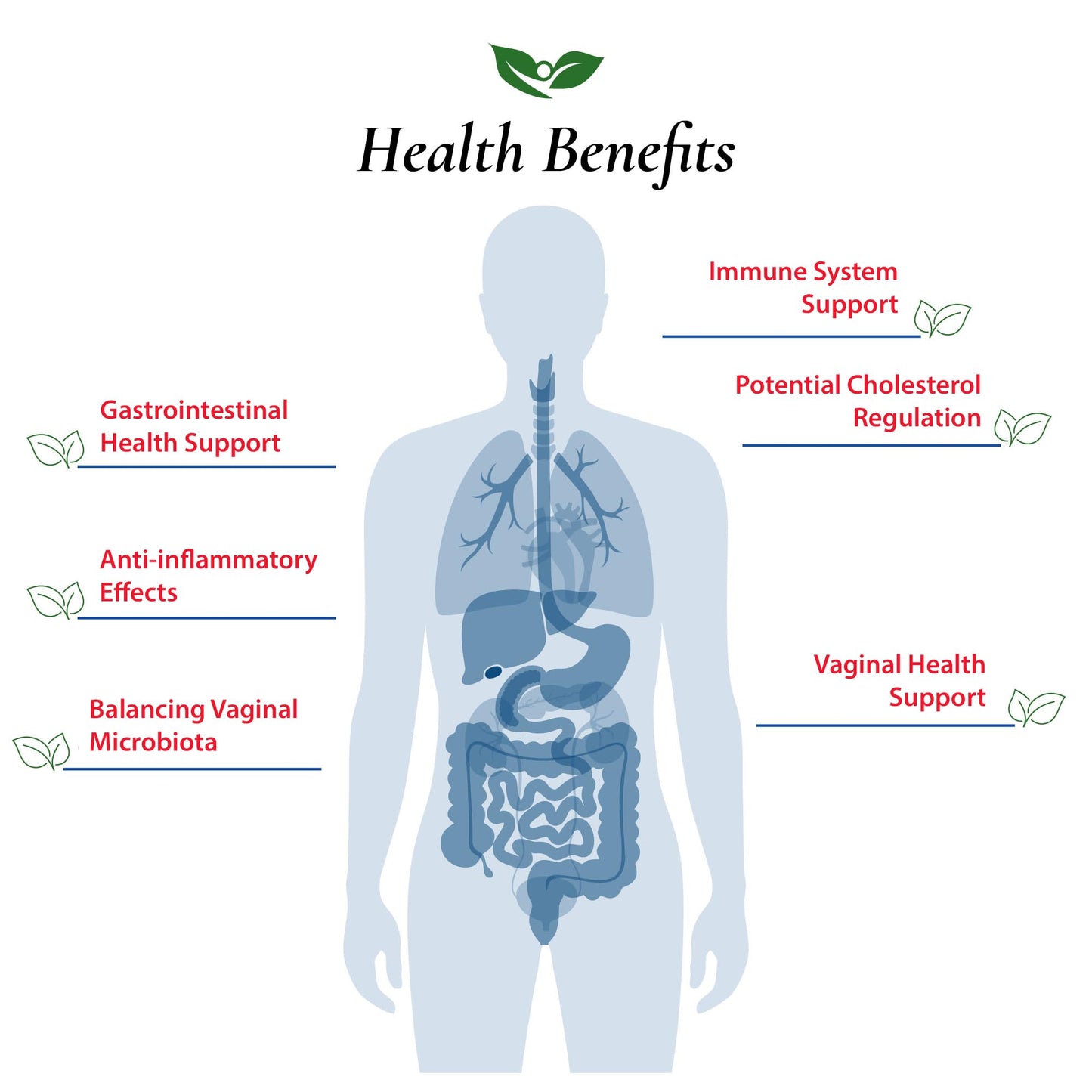 Foods For Gut Lactobacillus Fermentum Probiotic Powder 100 Billion CFU, 100 g