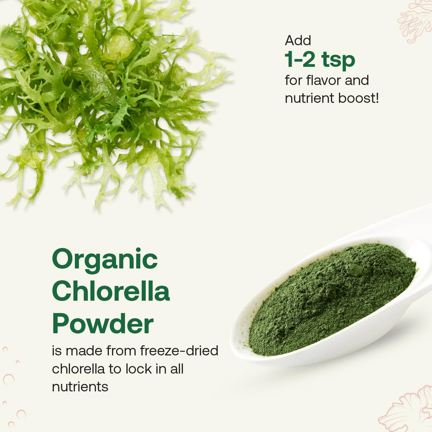 Quay Naturals Organic Chlorella Powder 4 oz