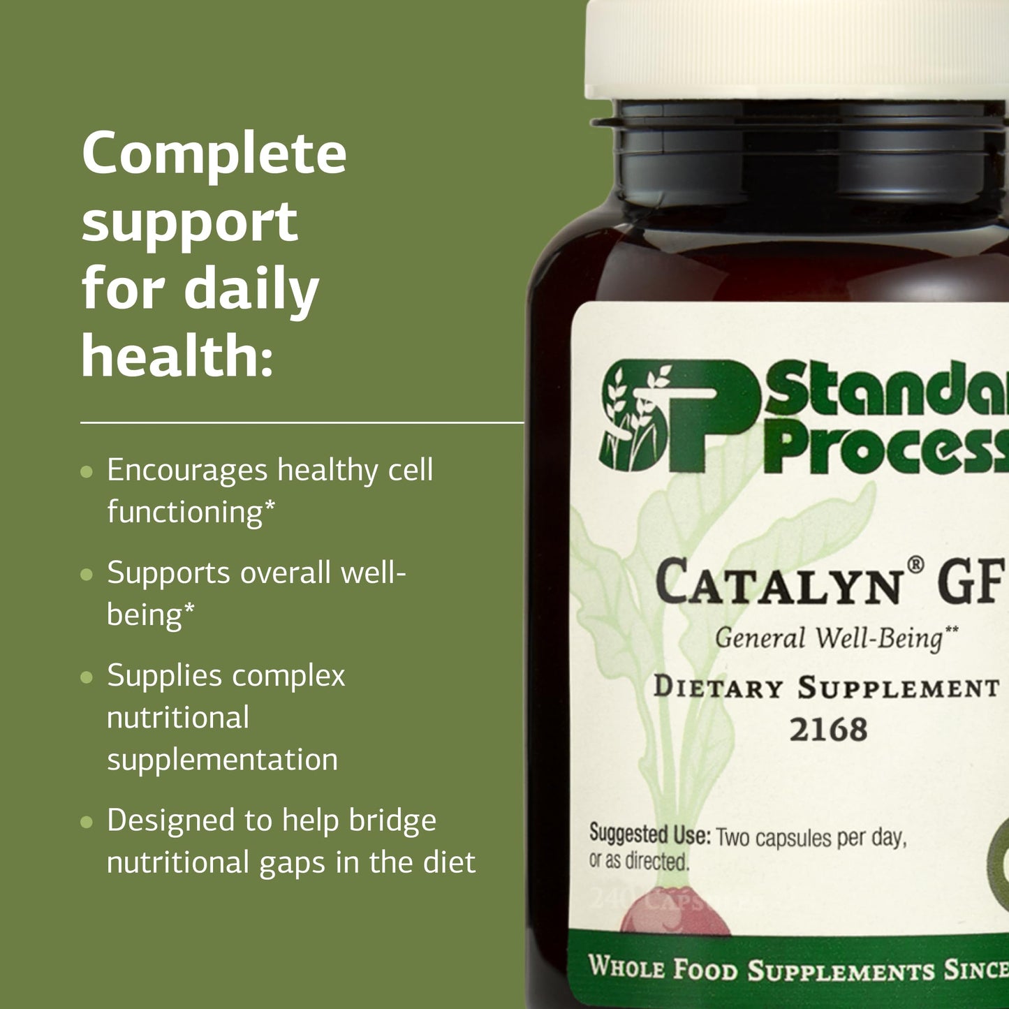 Standard Process Inc. Catalyn Gluten Free, 240 Capsules