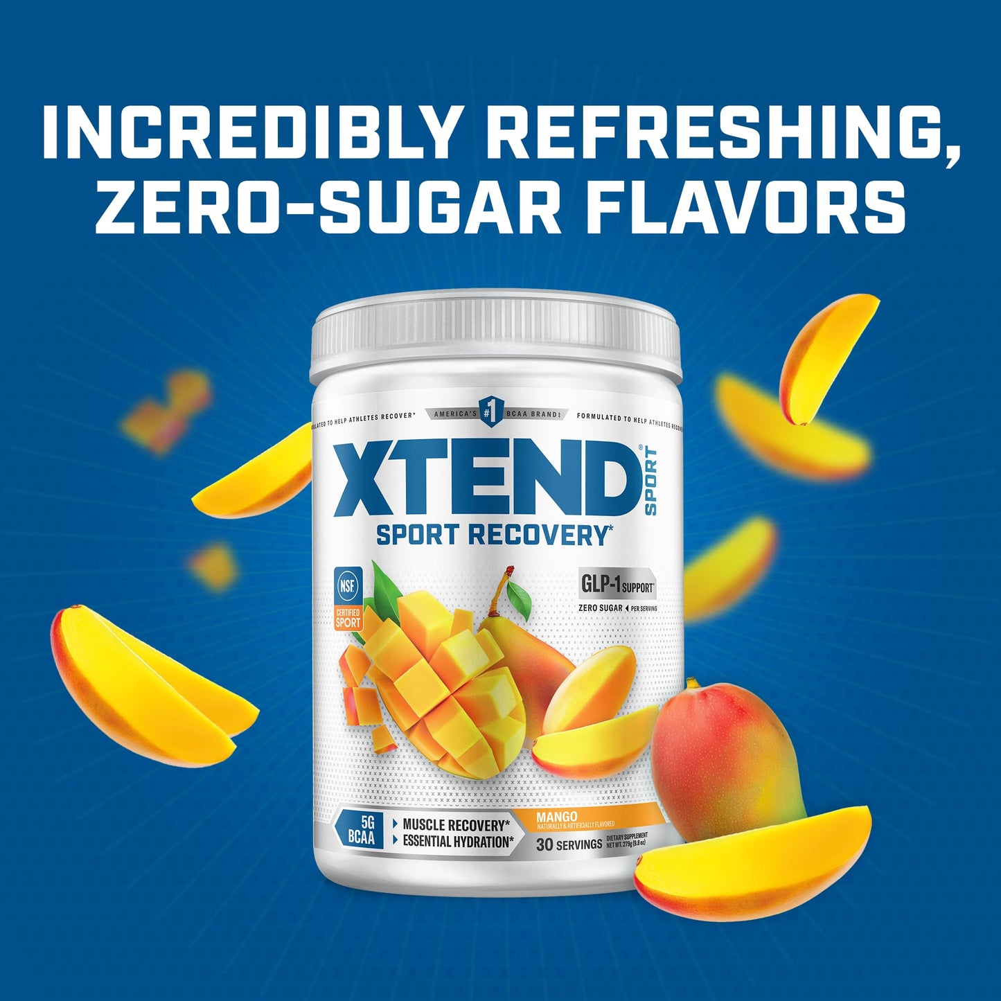 Xtend Sport BCAA Powder 10 Servings