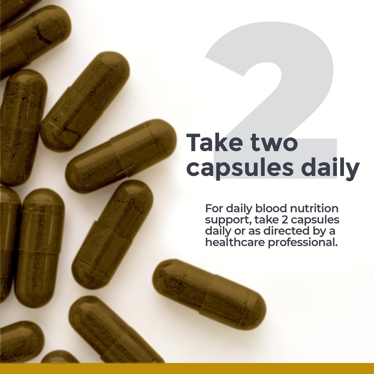 Premier Research Labs ErythroPro Iron Capsules, 60 Capsules