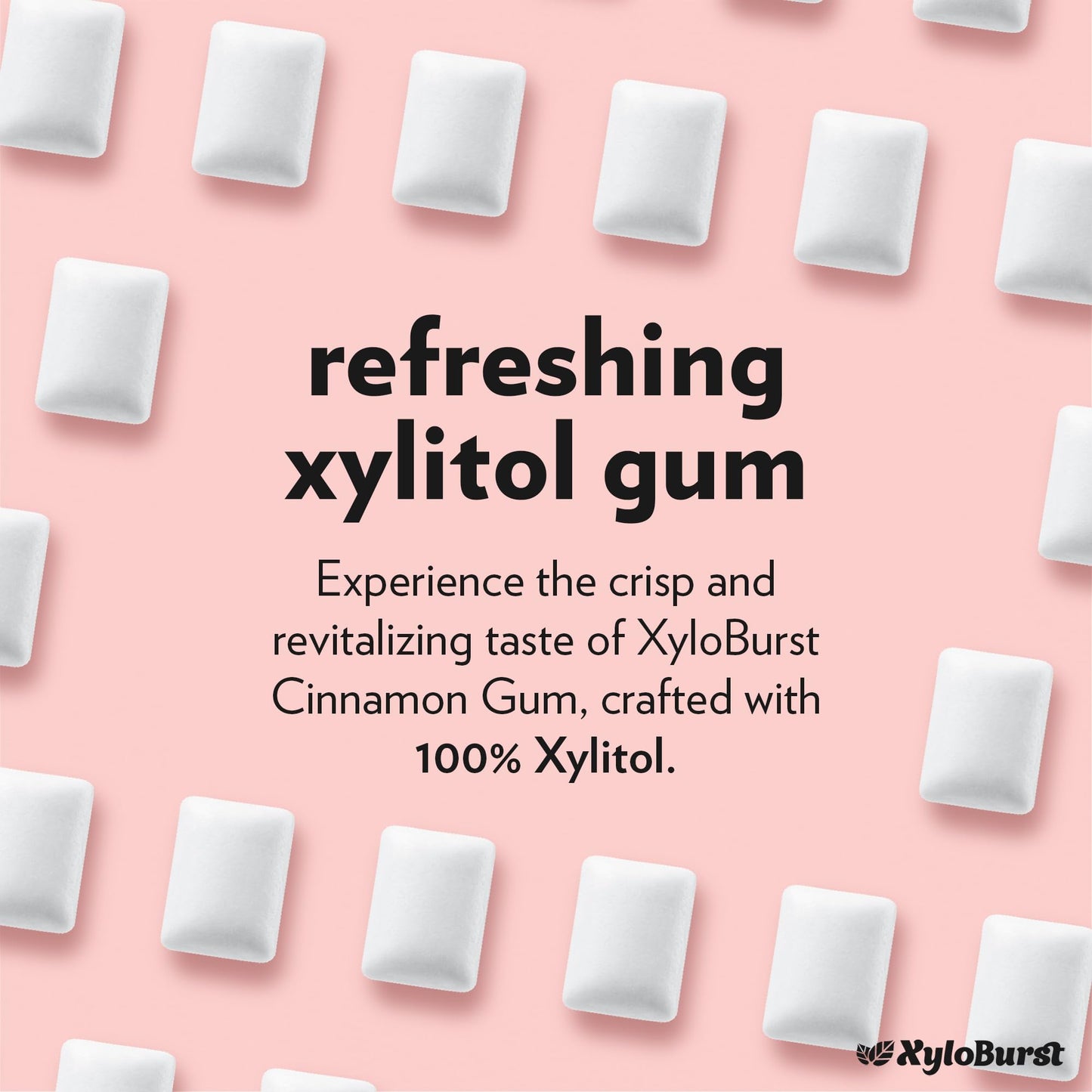 Xyloburst Gum Trays Cinnamon 192 Tablets