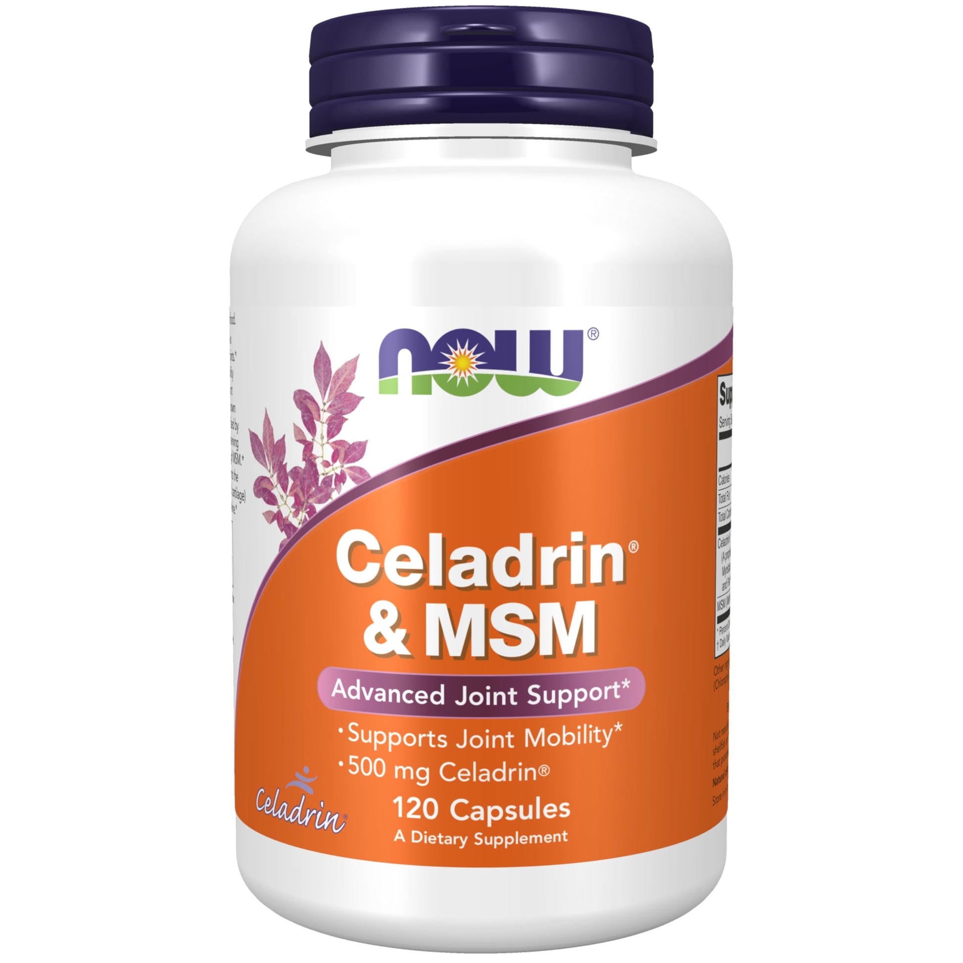 NOW Foods Celadrin® & MSM 500 mg Celadrin® Advanced Joint Support Capsules 120 Capsules