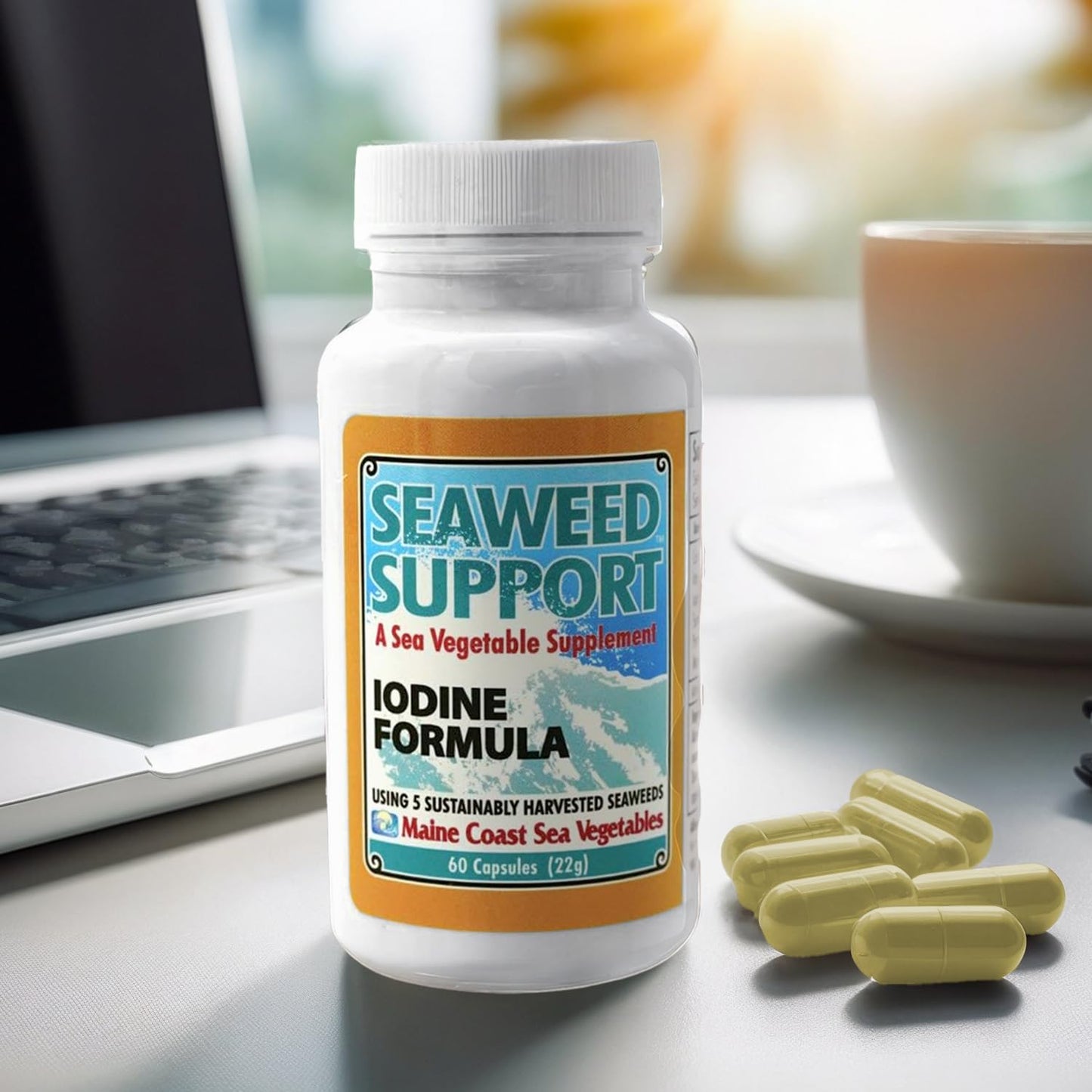Maine Coast Sea Vegetables Seaweed Support Iodine Formula Capsule, 1 Capsule