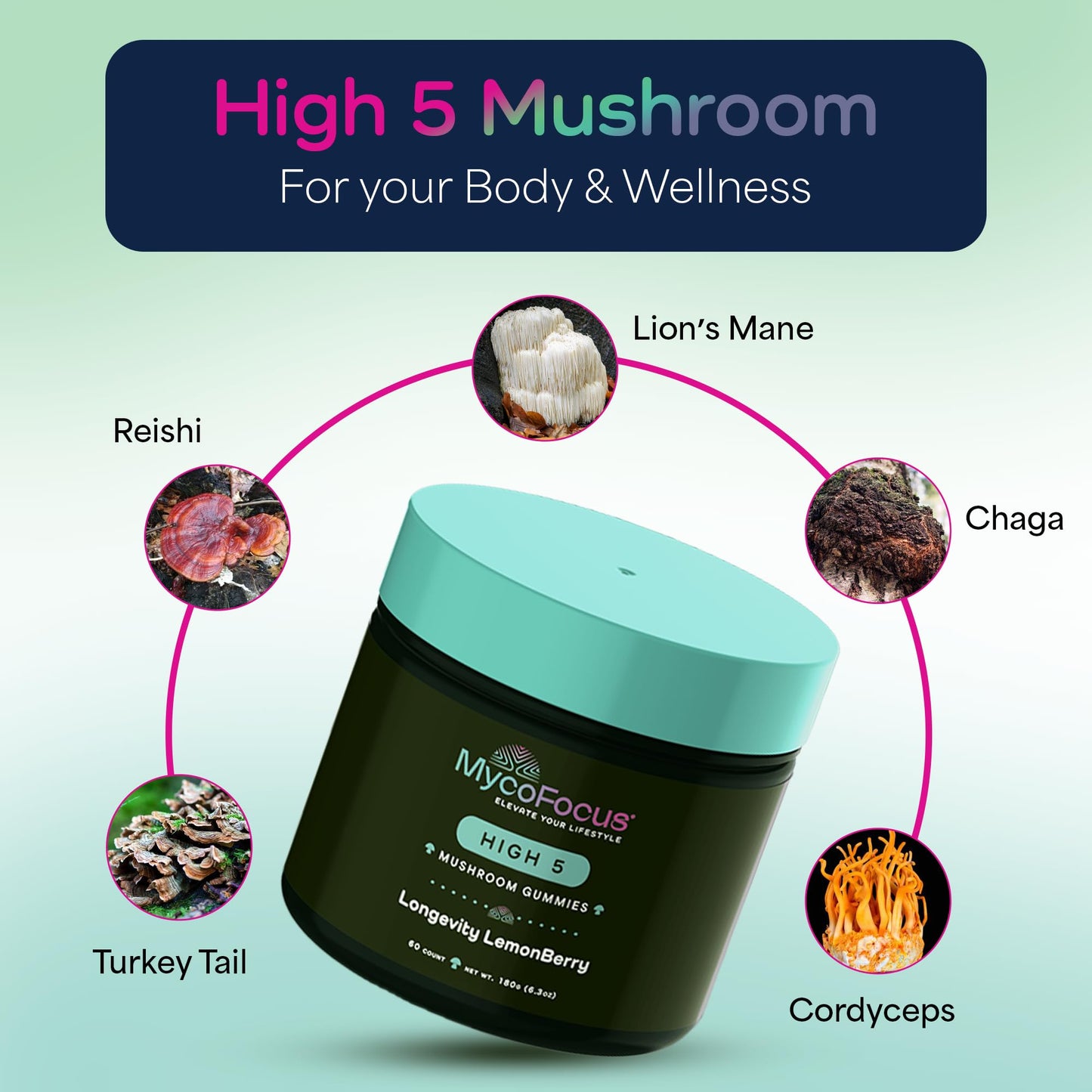 MycoFocus High5 Mushroom Gummies 60 Count