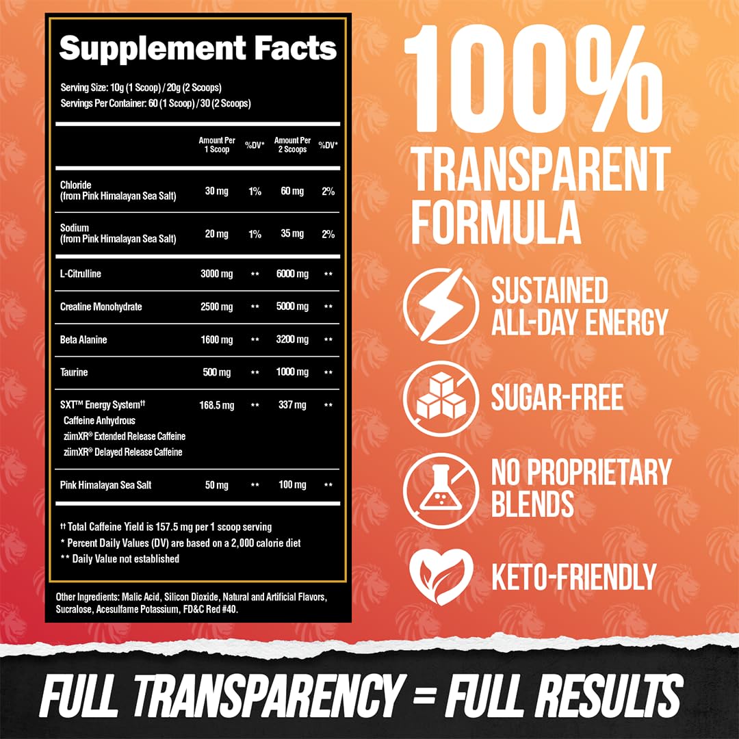 ALPHA LION Core Pre Workout Powder with Creatine 60 Servings