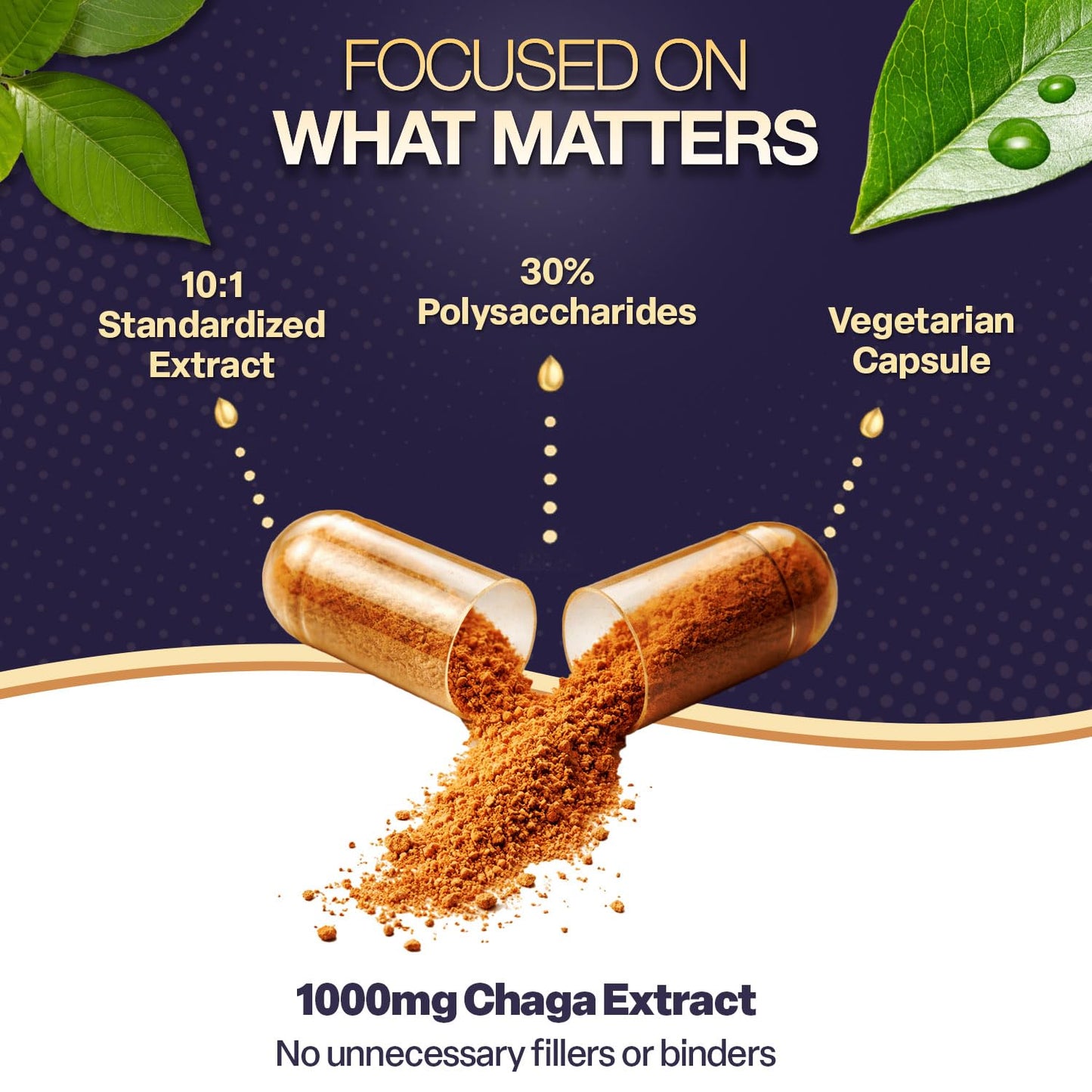 Natures Elements Chaga Mushroom – 10:1 Standardized Extract with 30% Polysaccharides – 1,000mg Per Serving – 60 Veggie Capsules – Supports Immune Health, Non-GMO, Gluten-Free