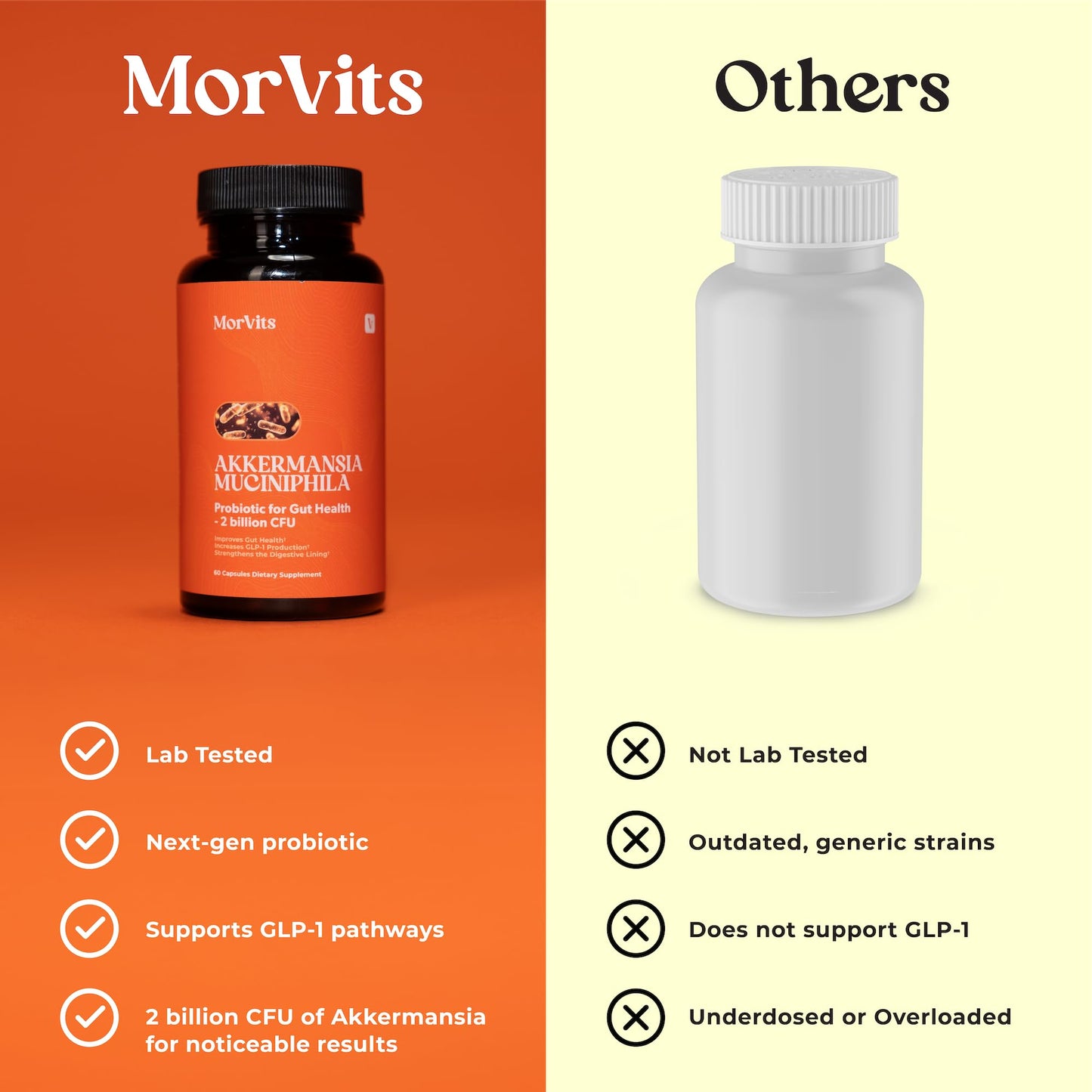 Morvits Akkermansia Probiotic for Cravings & Gut Health GLP-1 Support with Akkermansia Muciniphila – 2 Billion CFU, Inulin Prebiotic Fiber, 60 Capsules